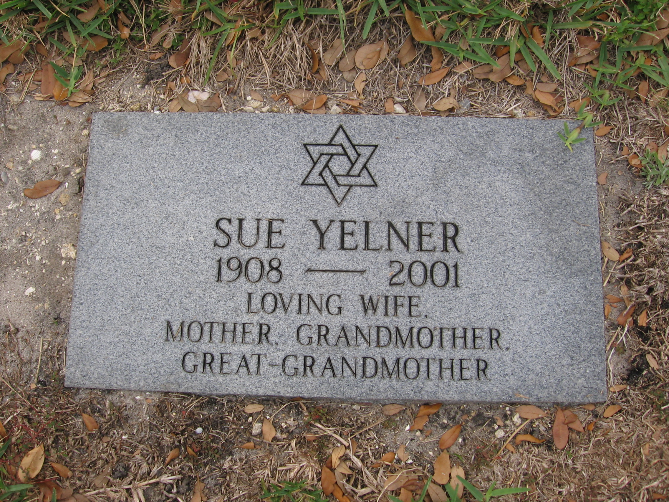 Sue Yelner