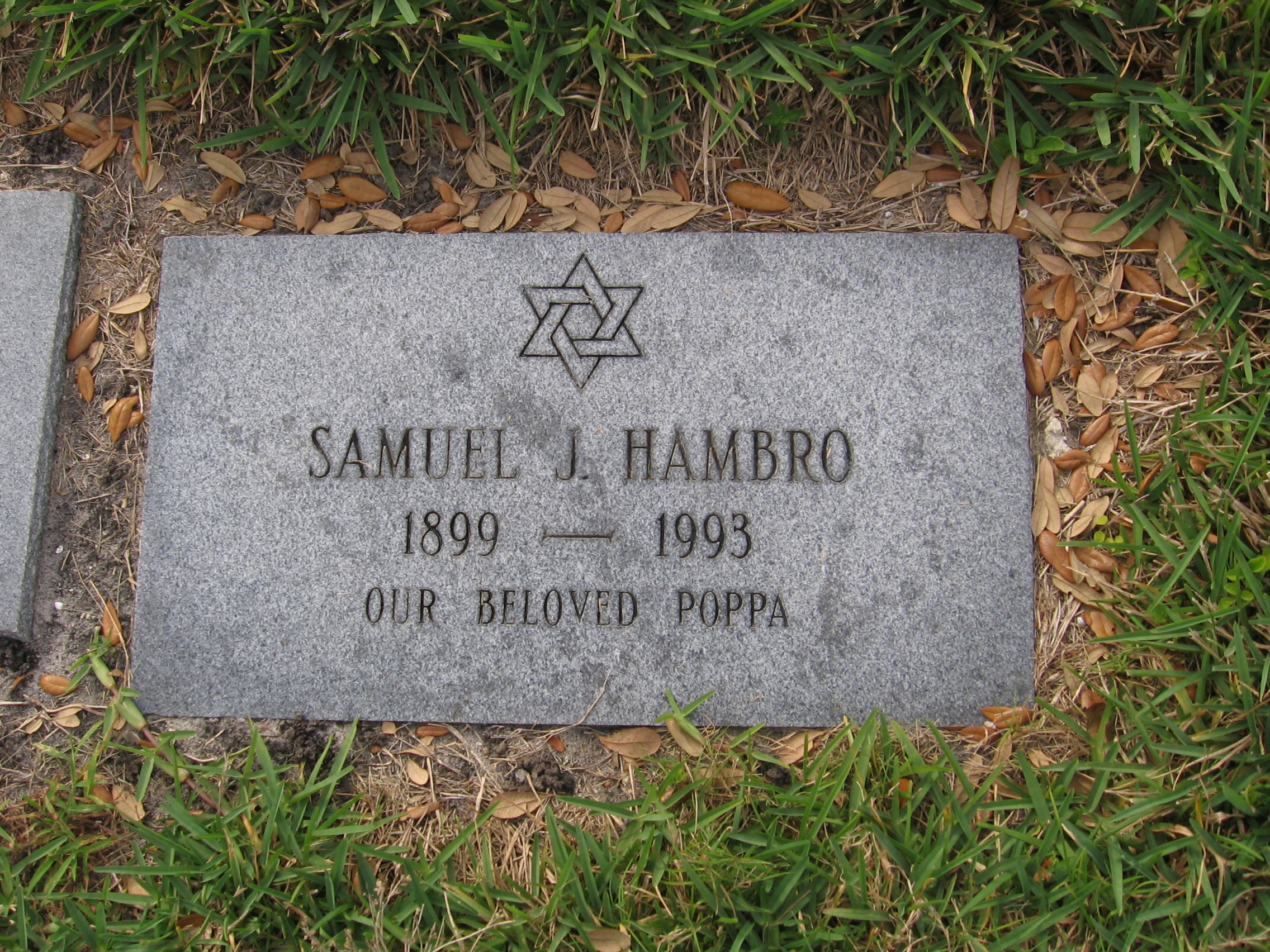 Samuel J Hambro