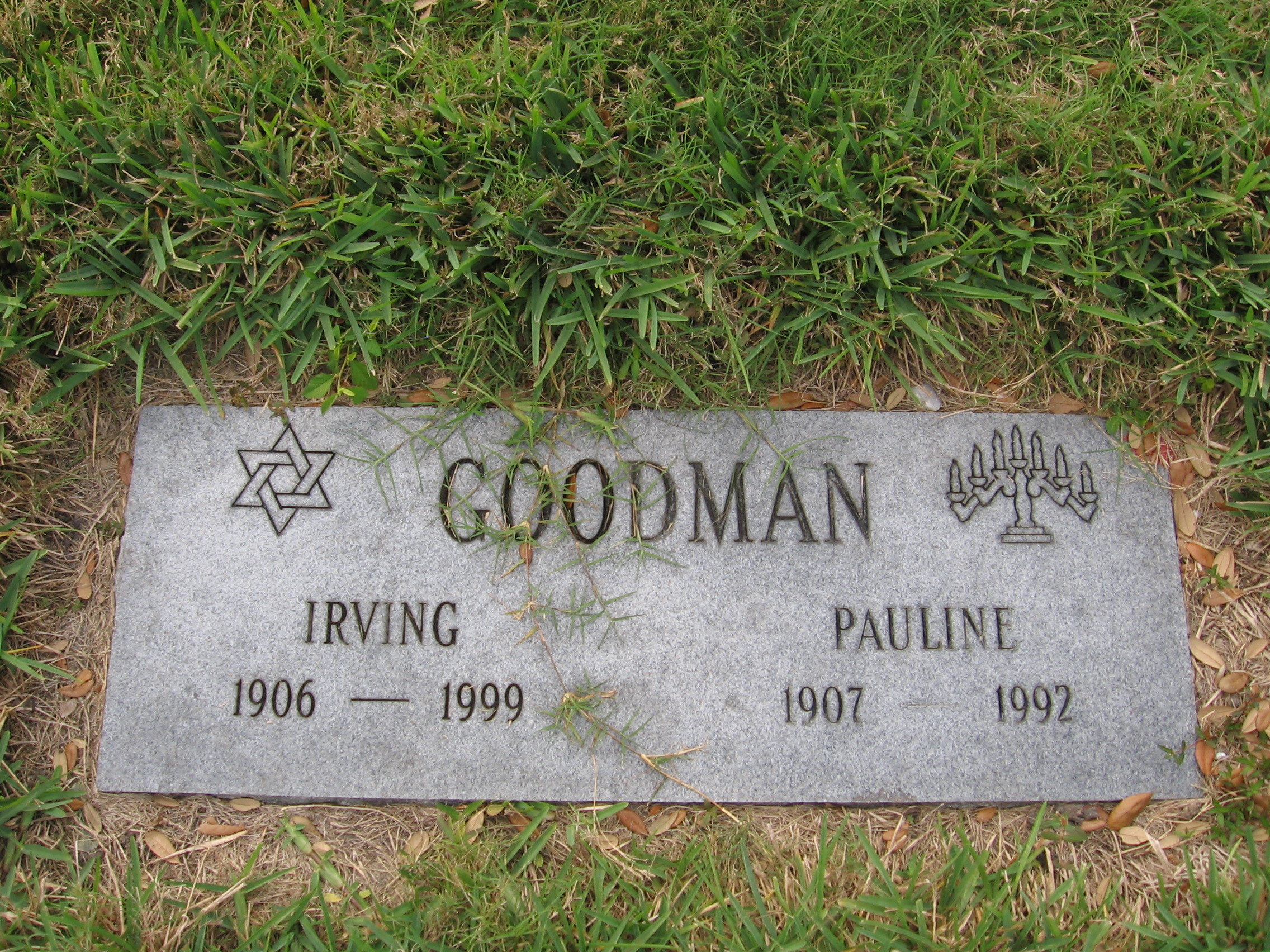 Irving Goodman