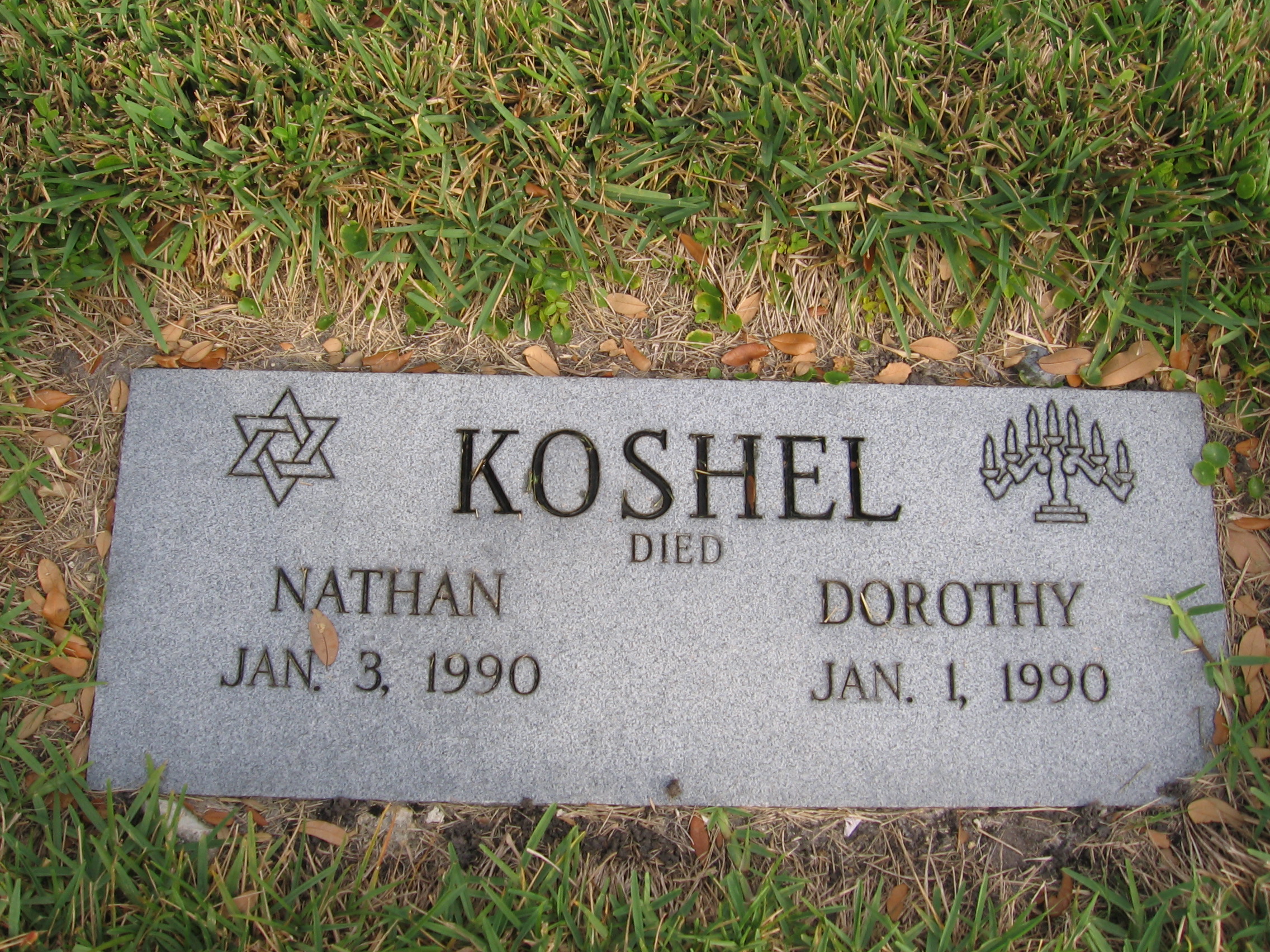 Nathan Koshel