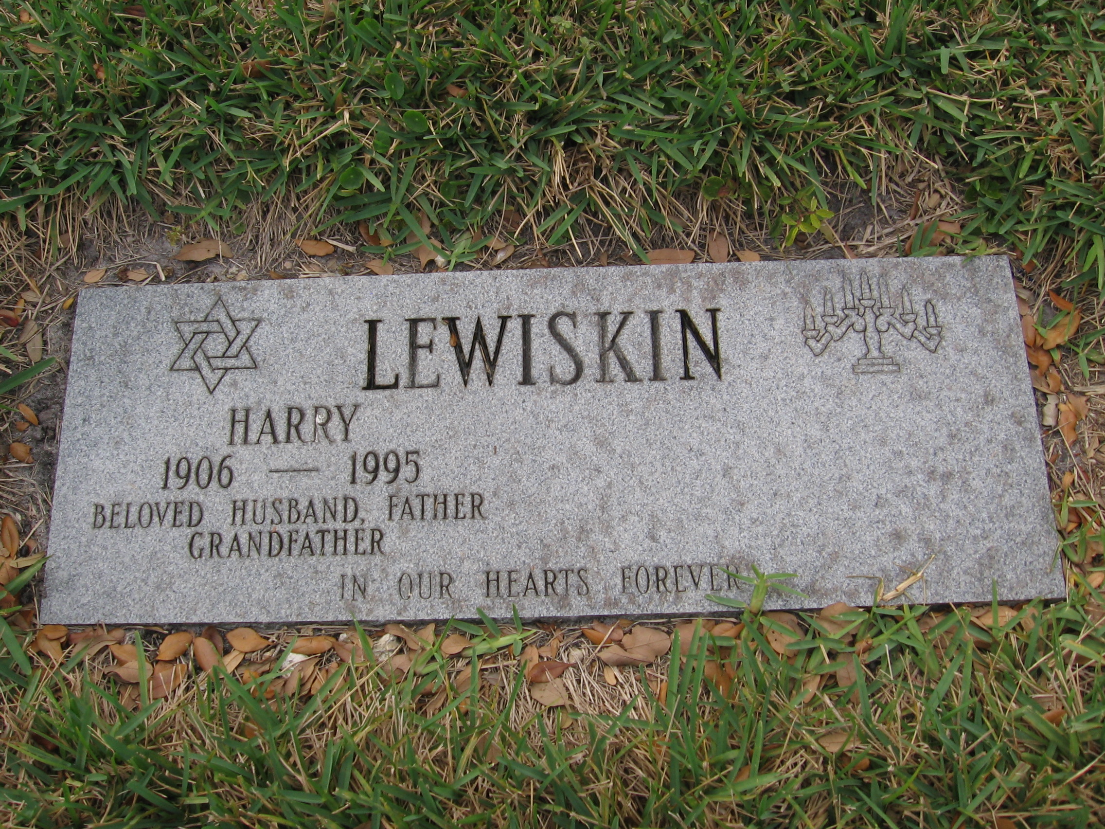 Harry Lewiskin