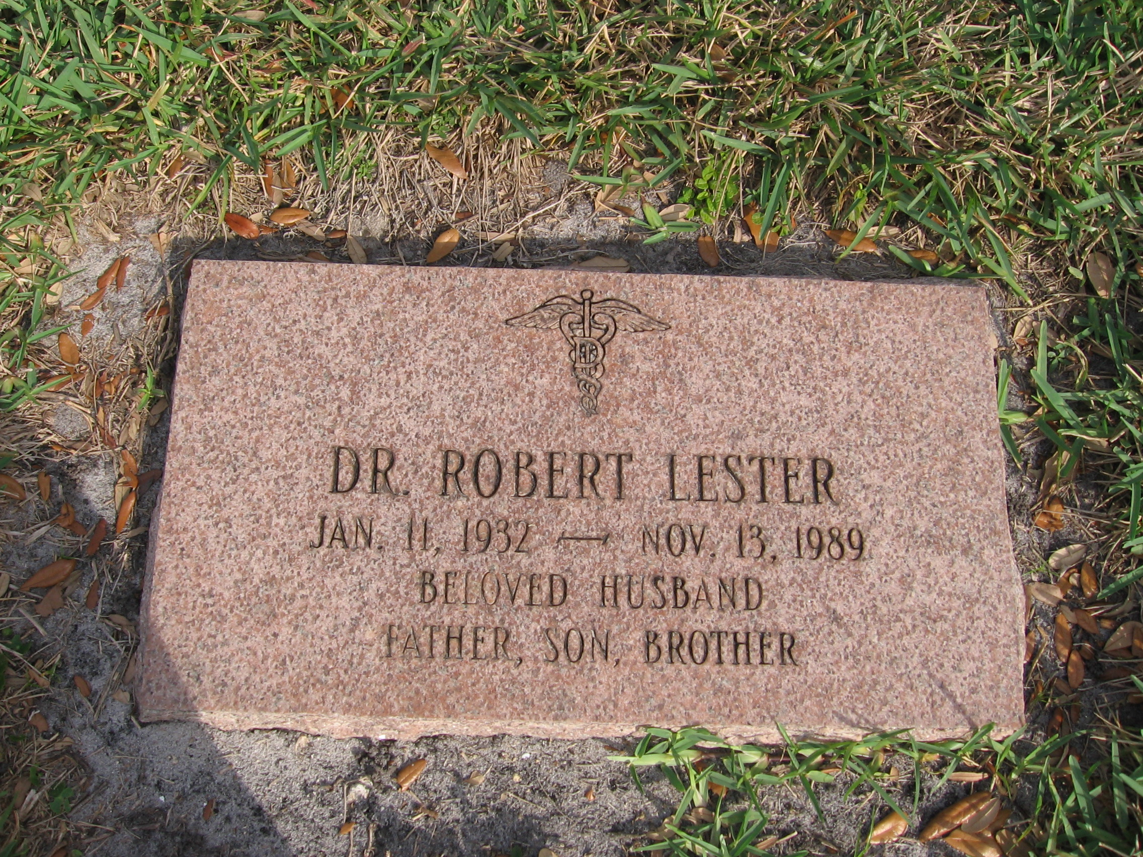 Dr Robert Lester