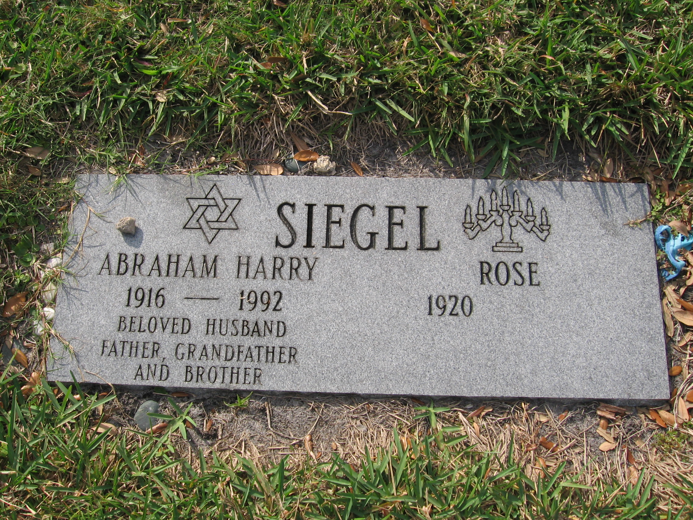 Abraham Harry Siegel