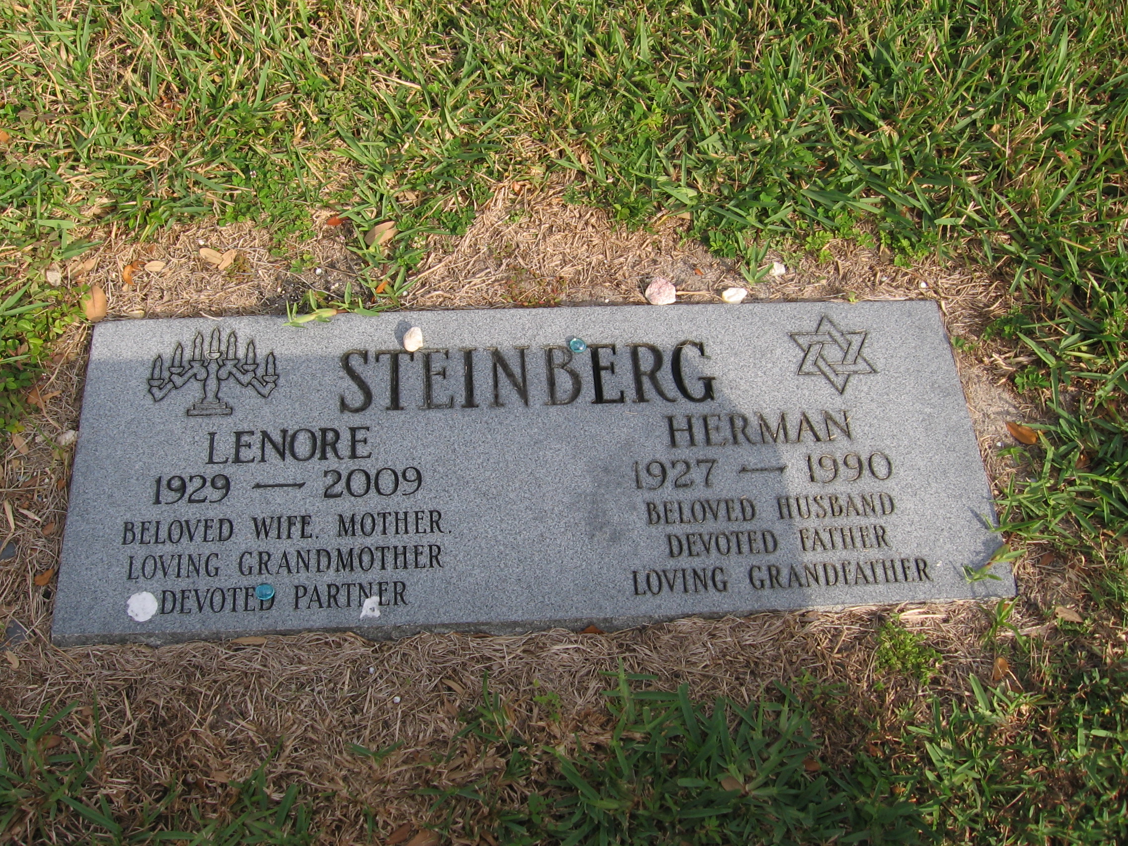 Lenore Steinberg