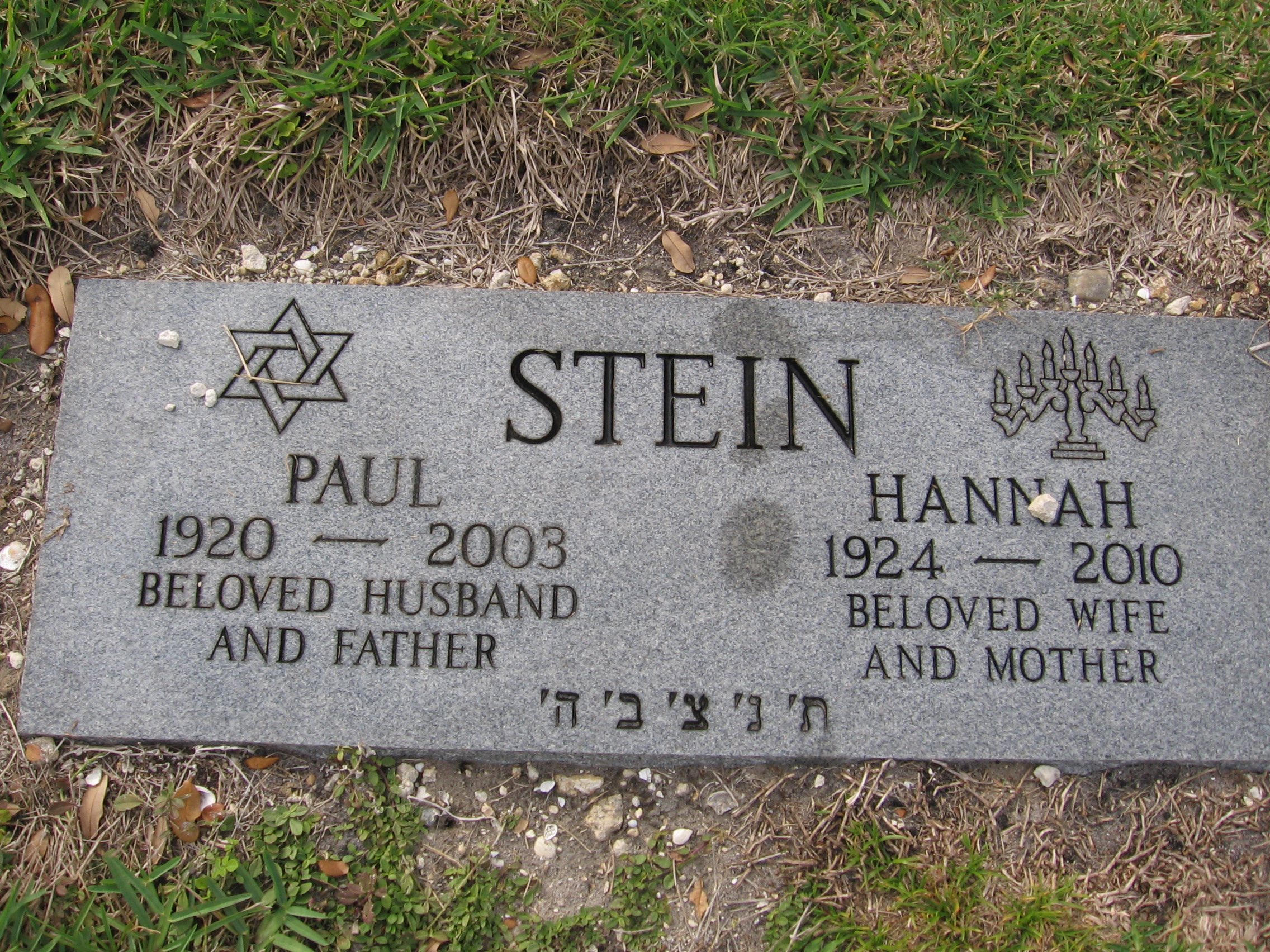 Paul Stein