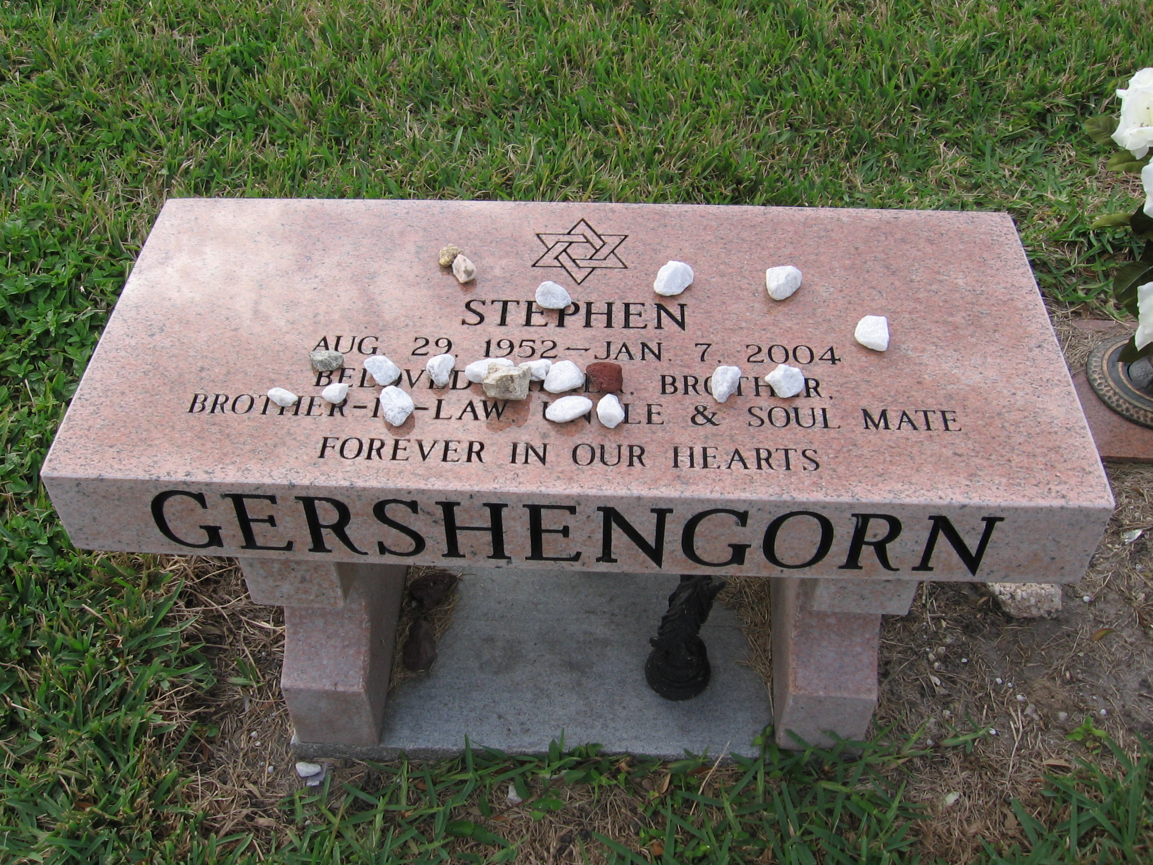 Stephen Gershengorn