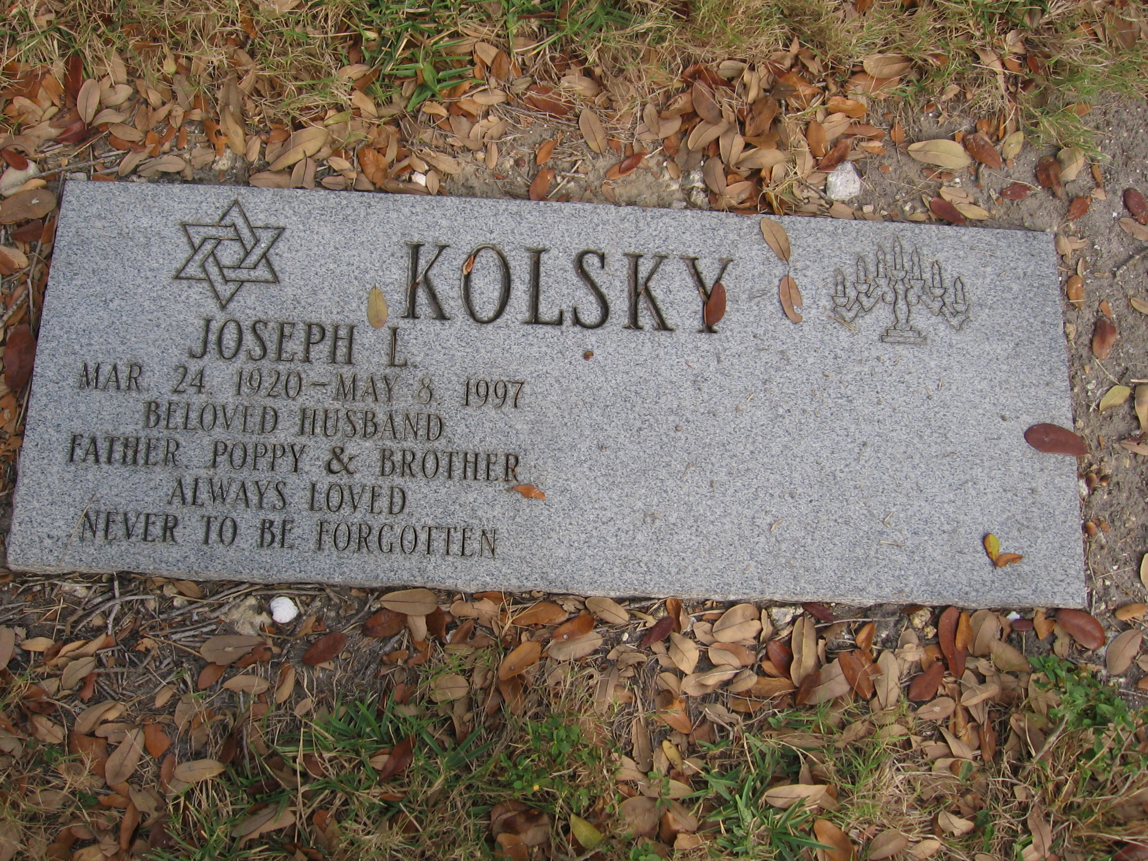 Joseph L Kolsky
