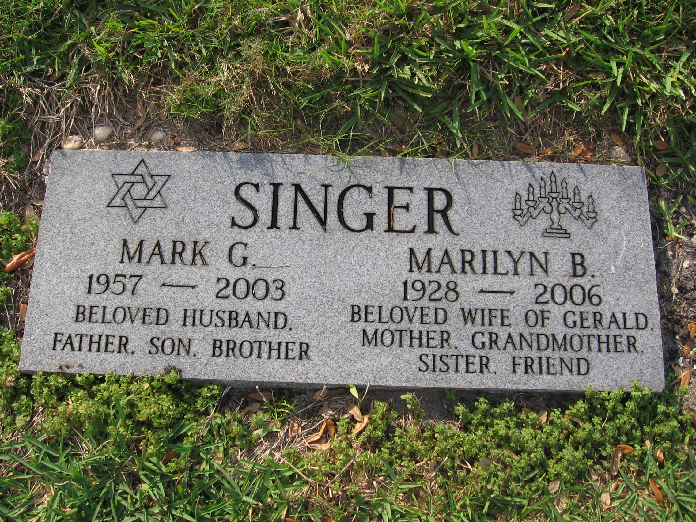 Mark G Singer