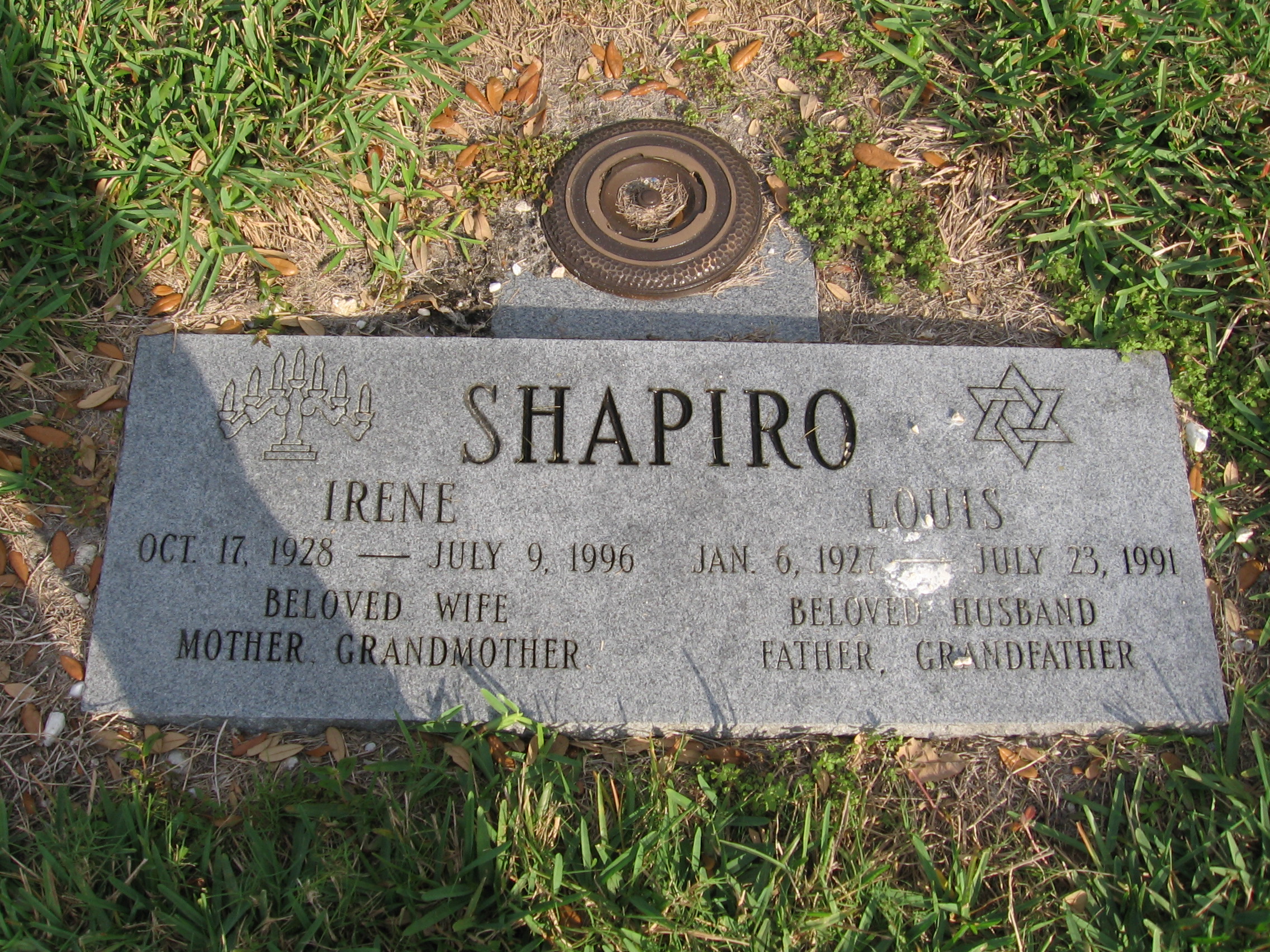 Louis Shapiro
