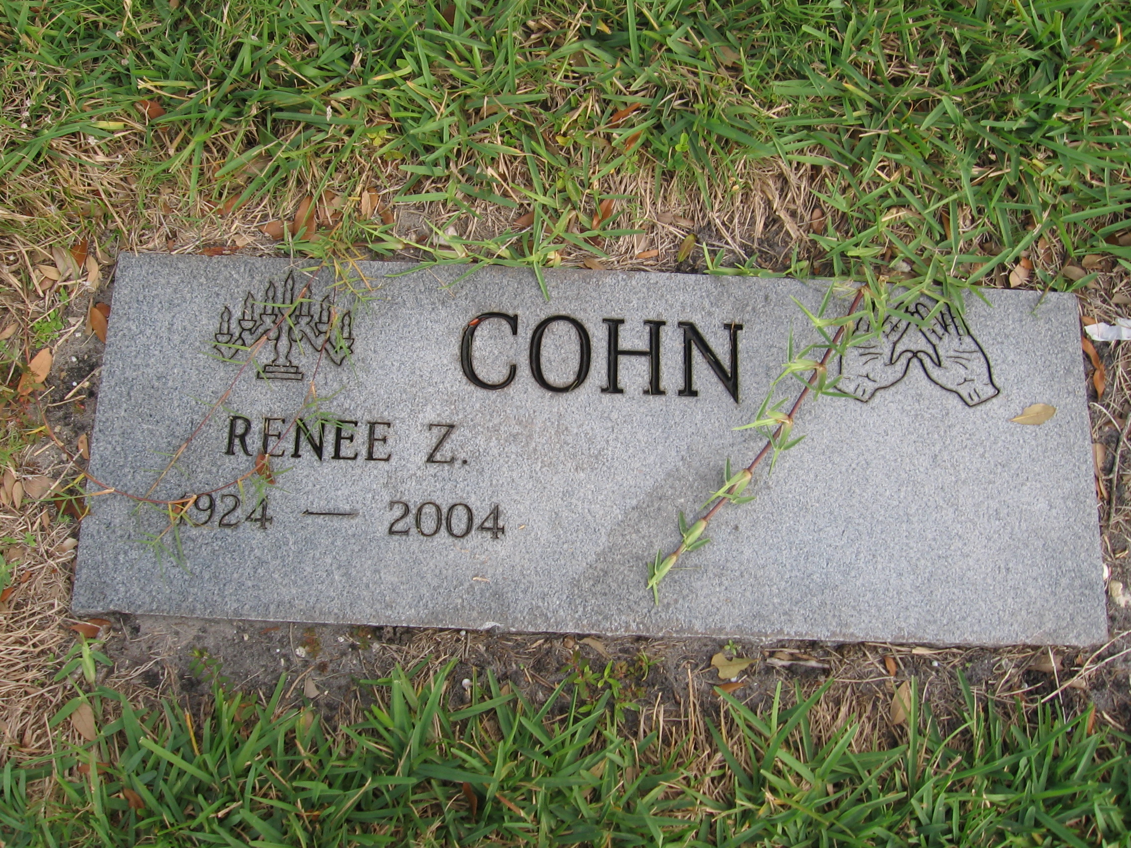 Renee Z Cohn
