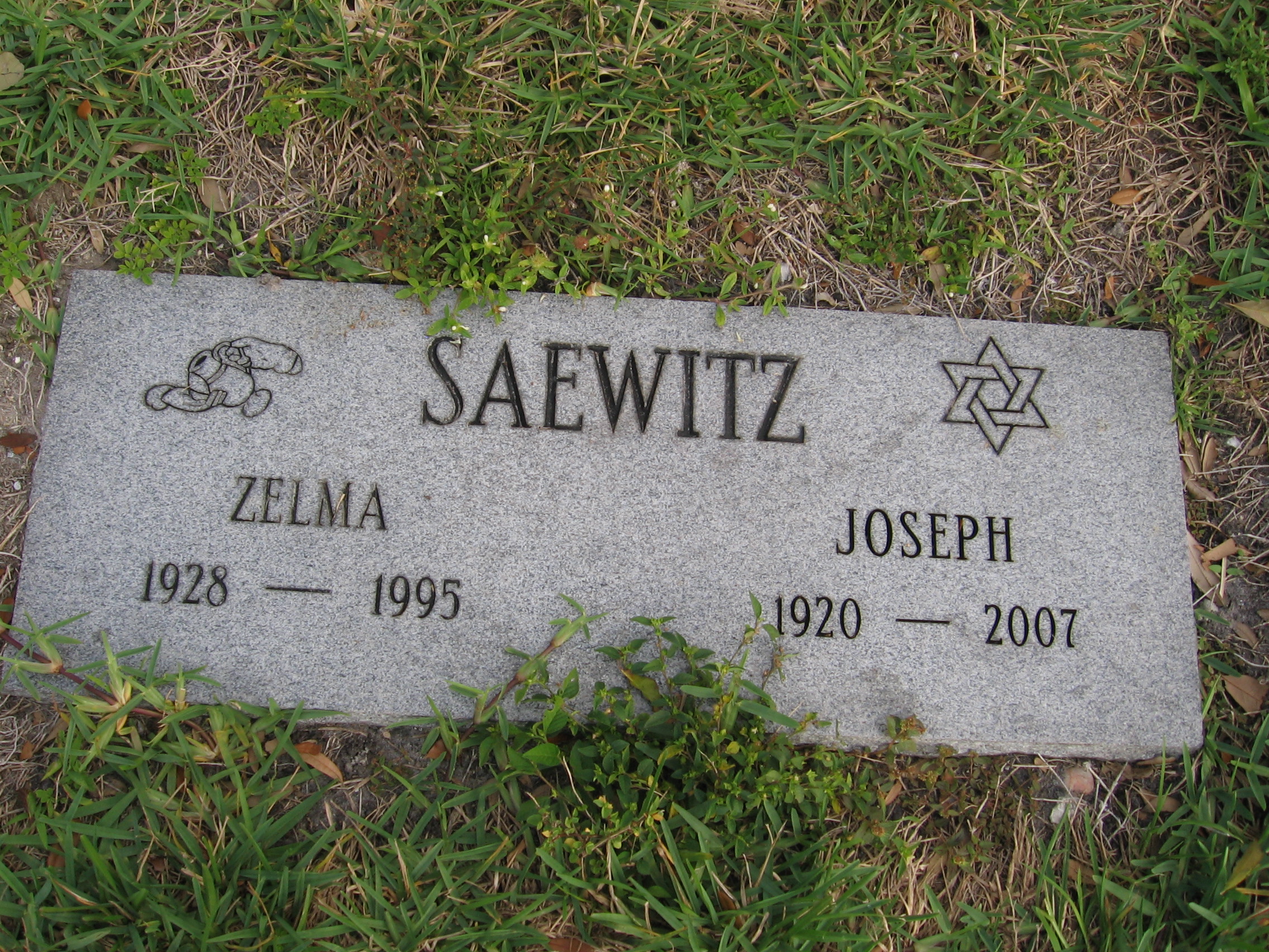 Joseph Saewitz