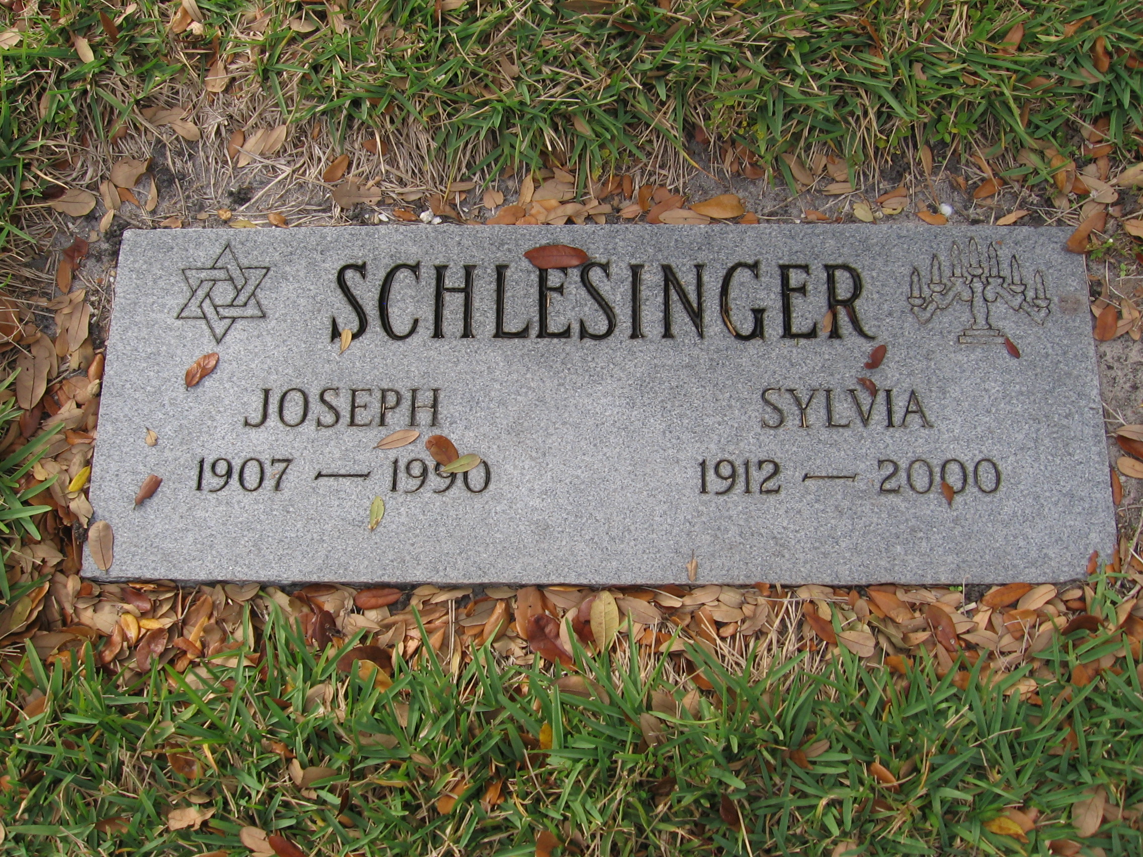 Sylvia Schlesinger