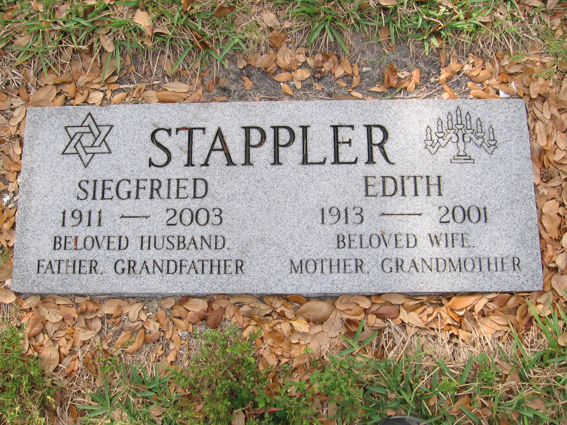 Siegfried Stappler