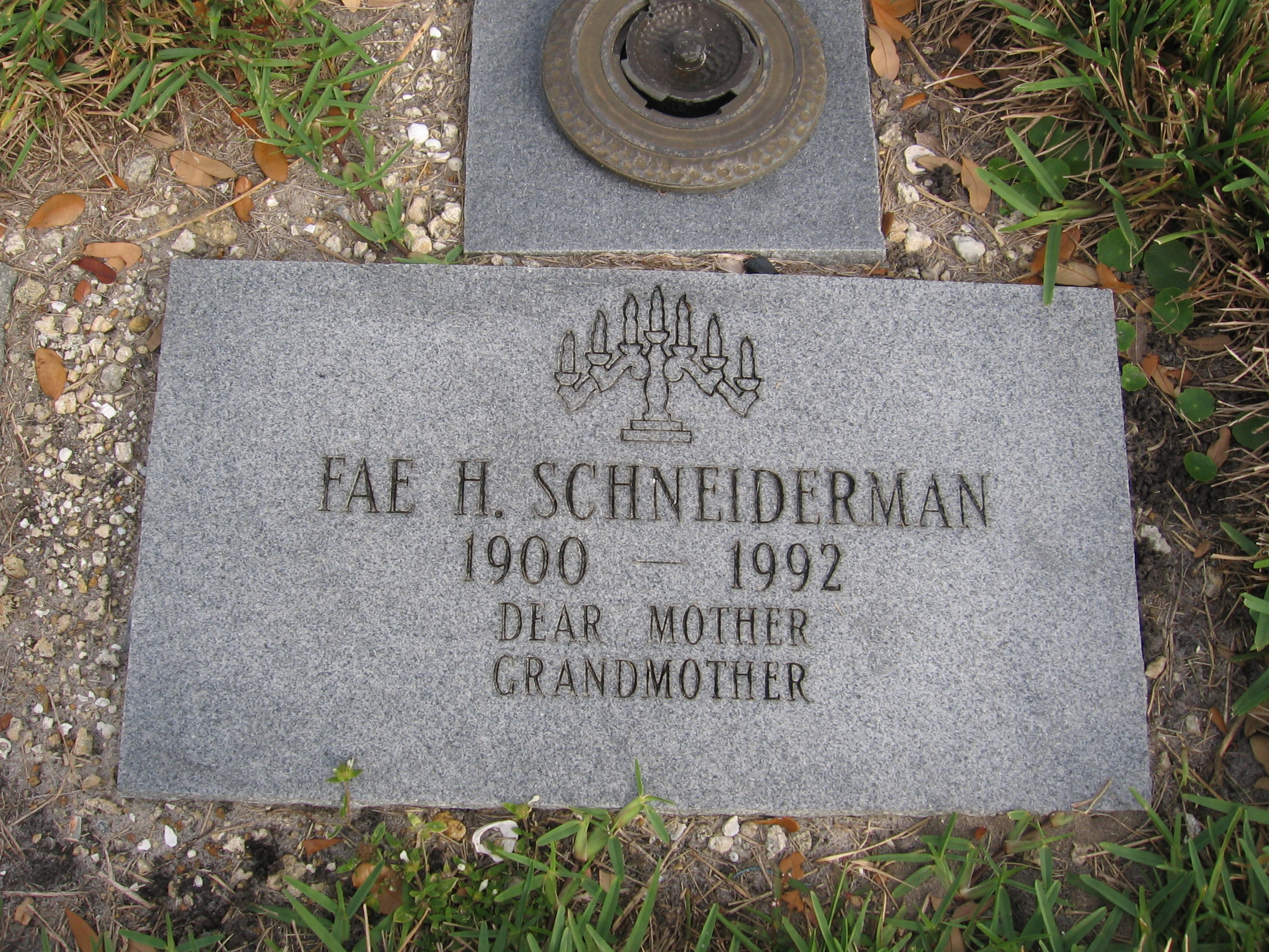 Fae H Schneiderman