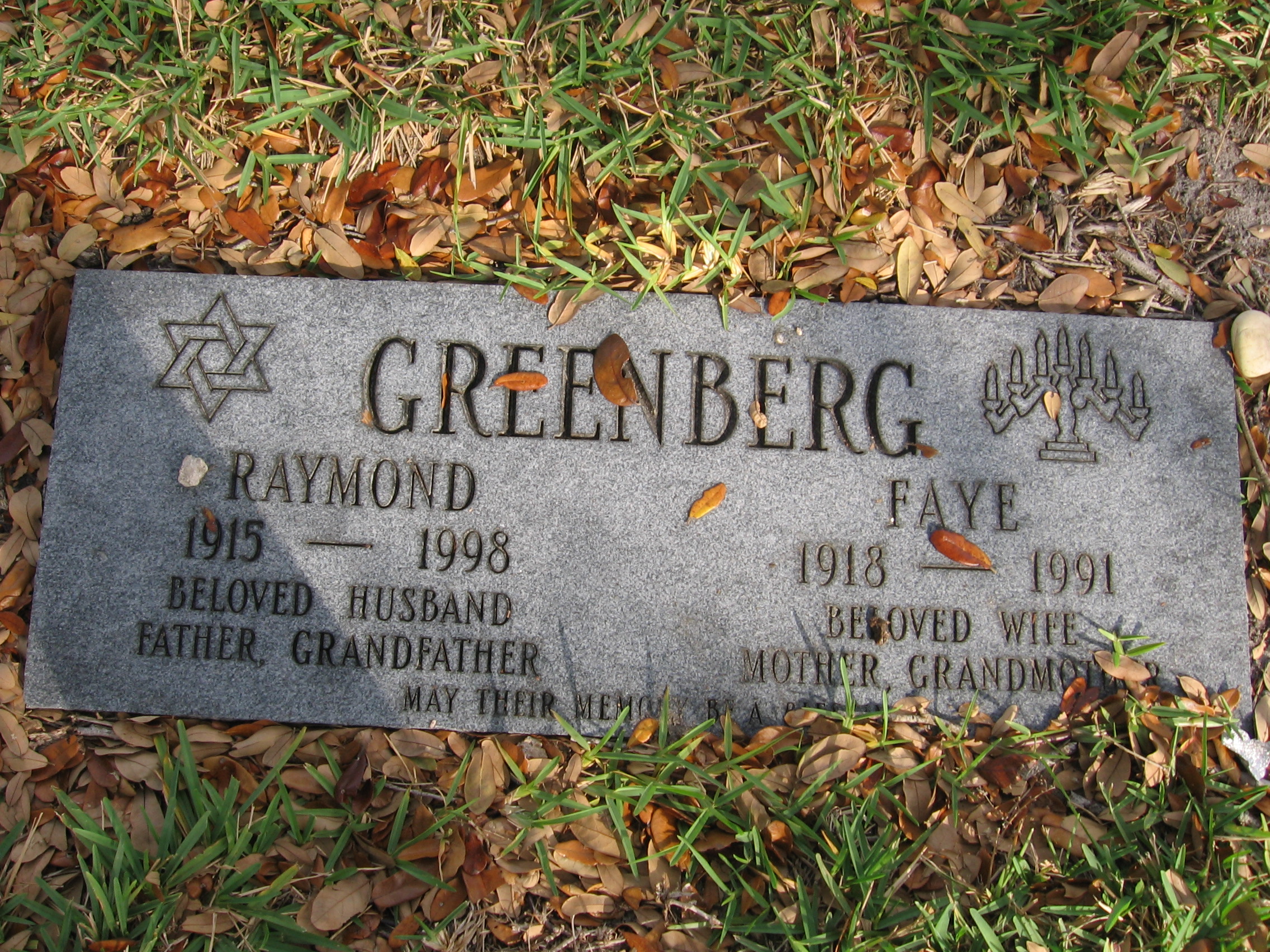 Faye Greenberg