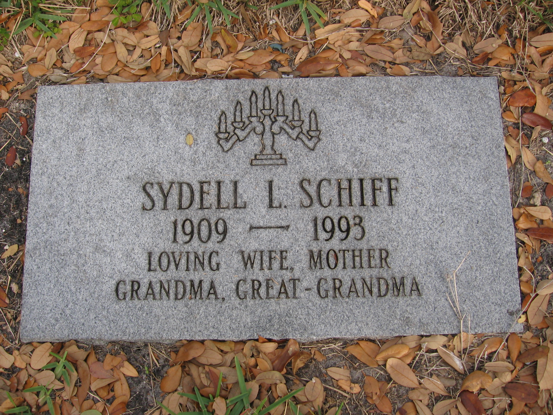 Sydell L Schiff
