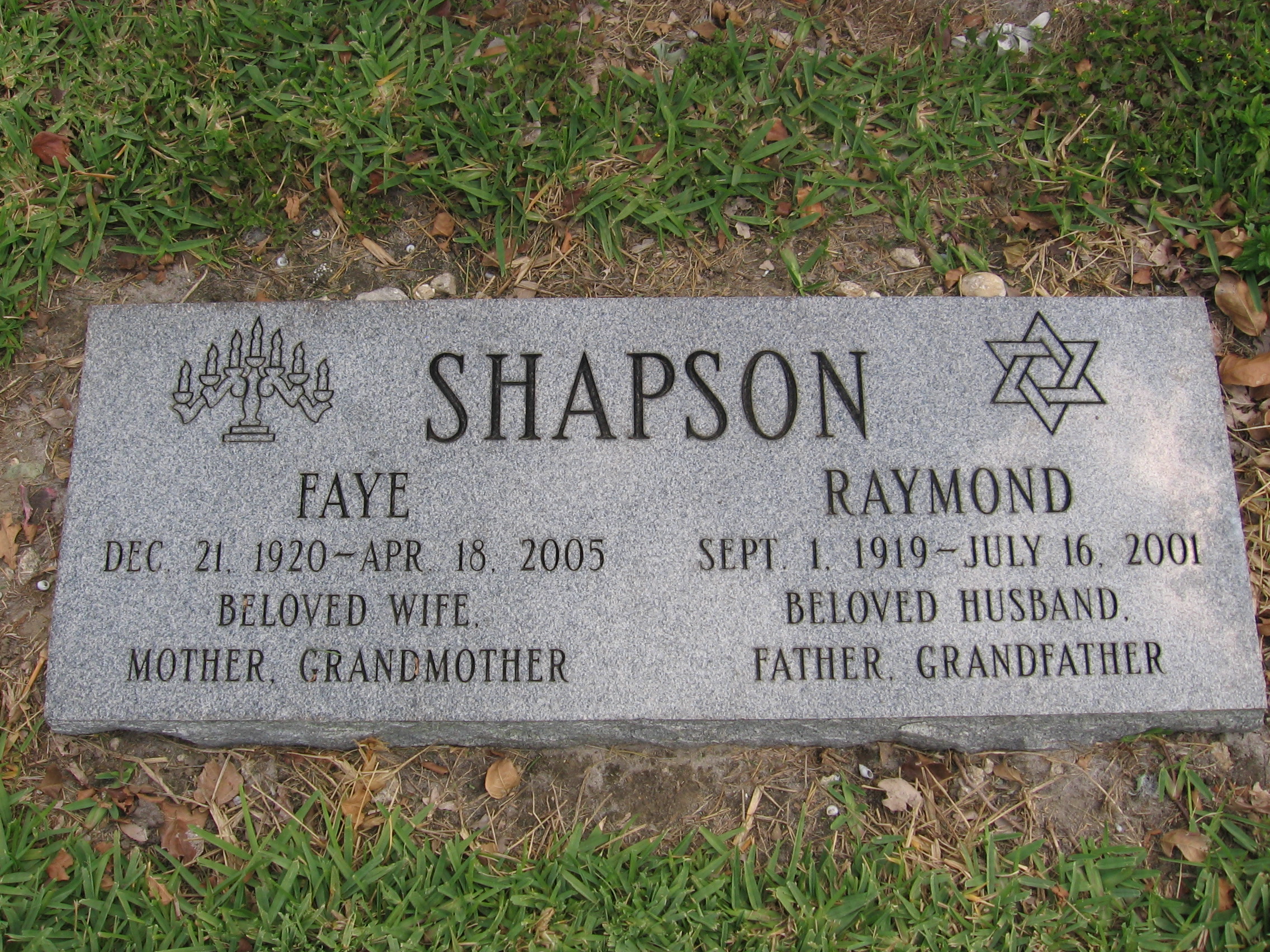 Raymond Shapson