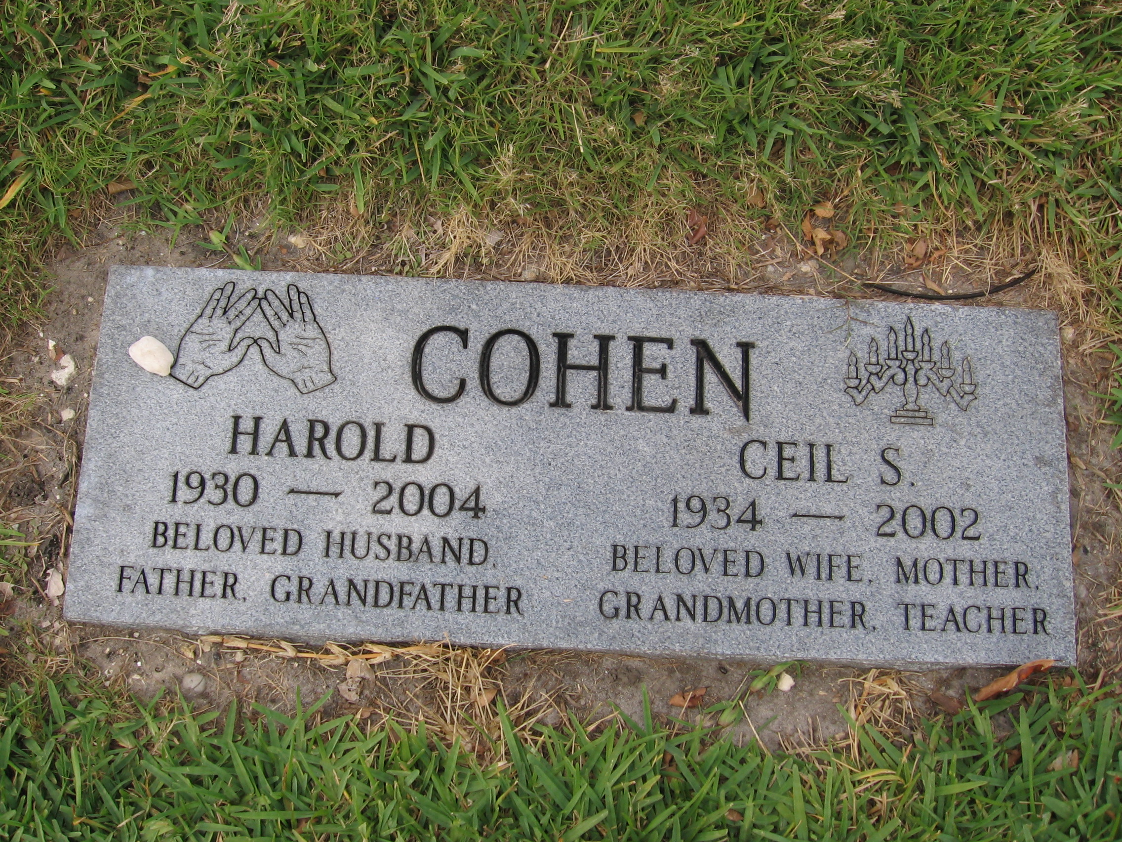 Harold Cohen