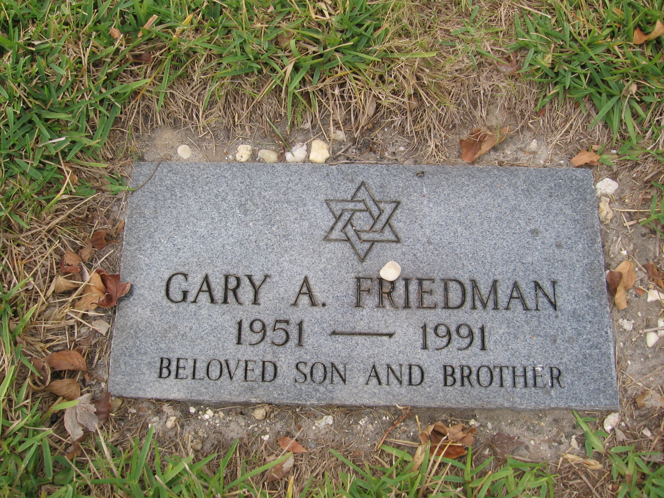 Gary A Friedman
