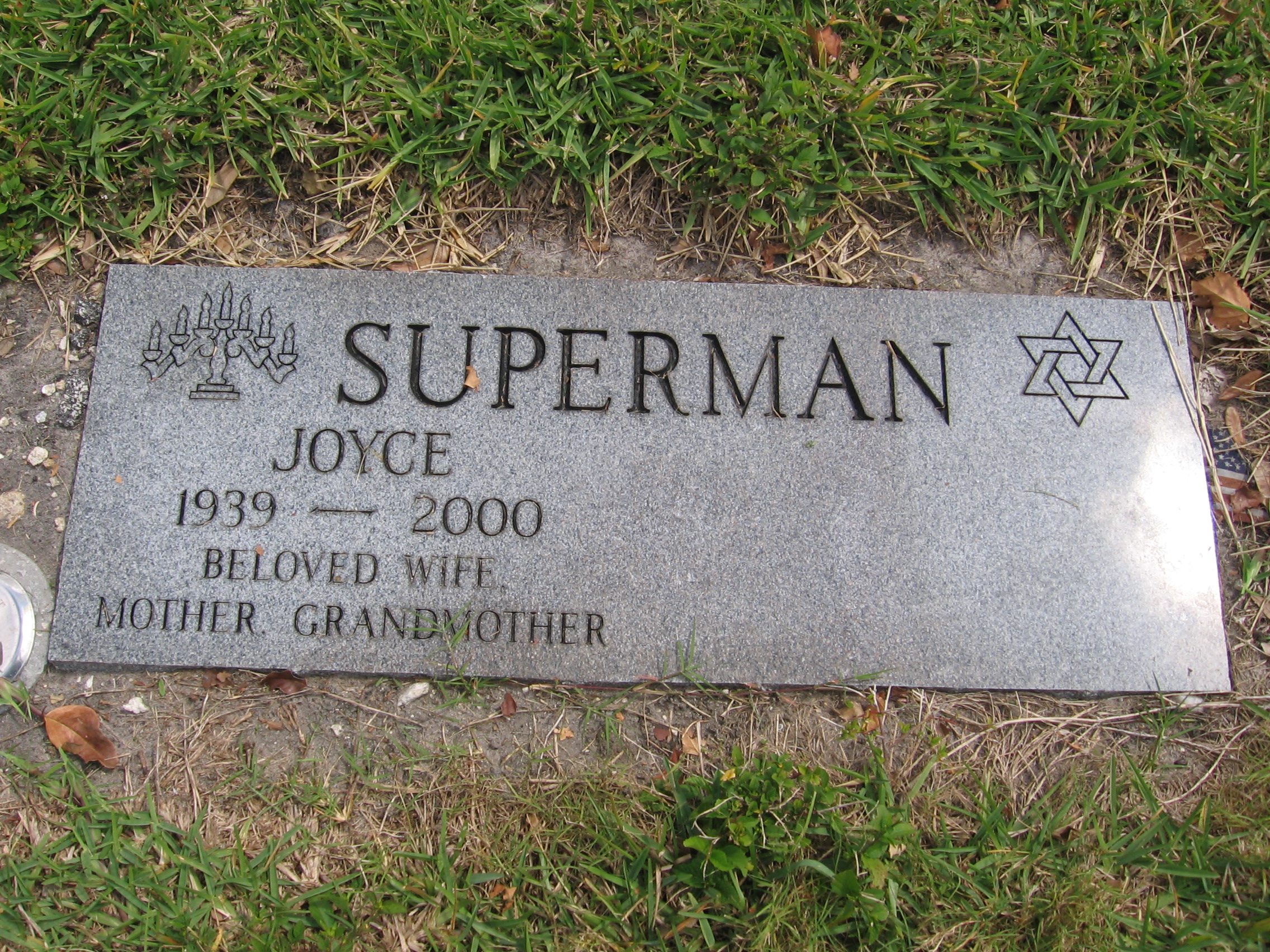 Joyce Superman