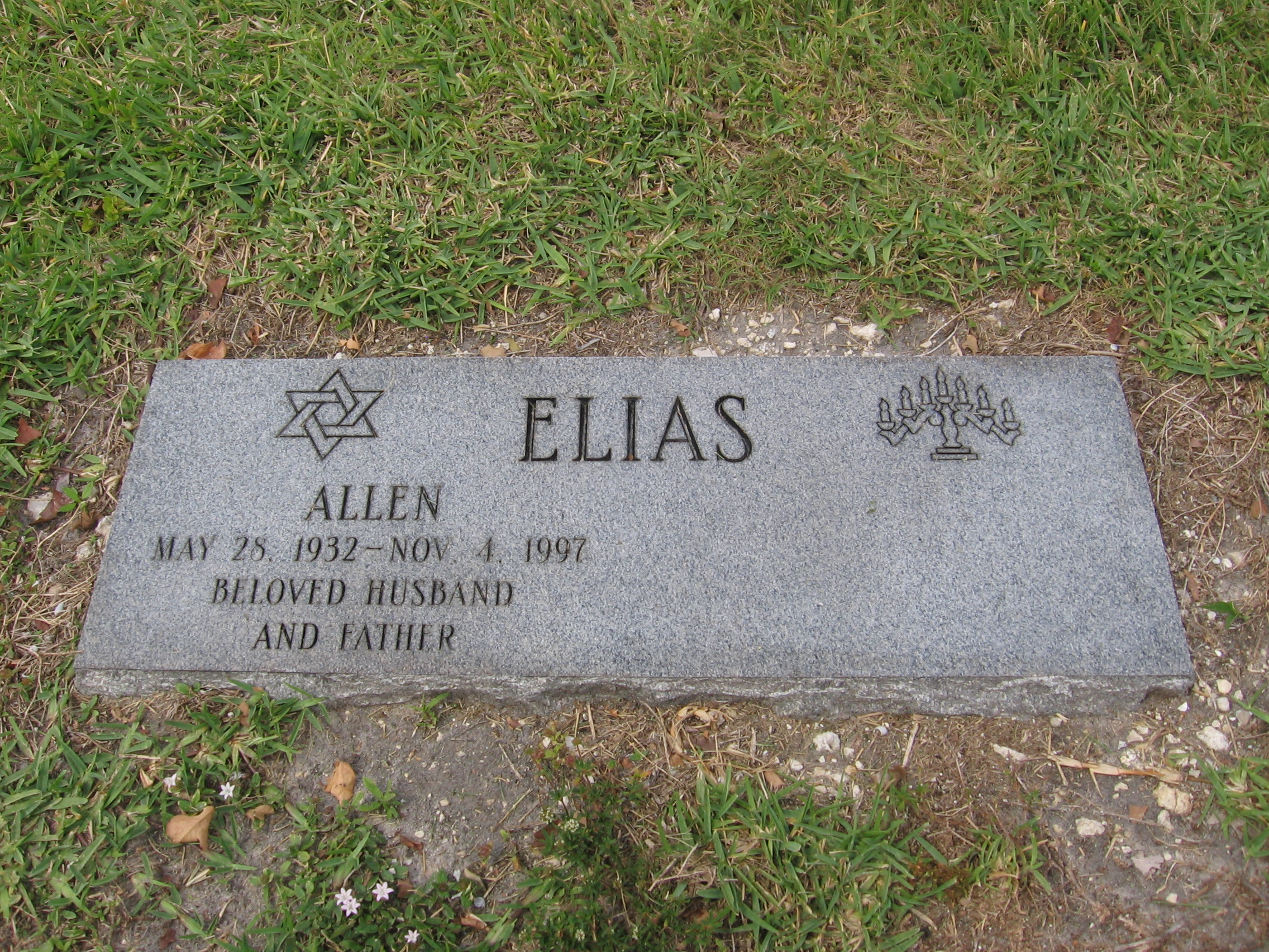 Allen Elias