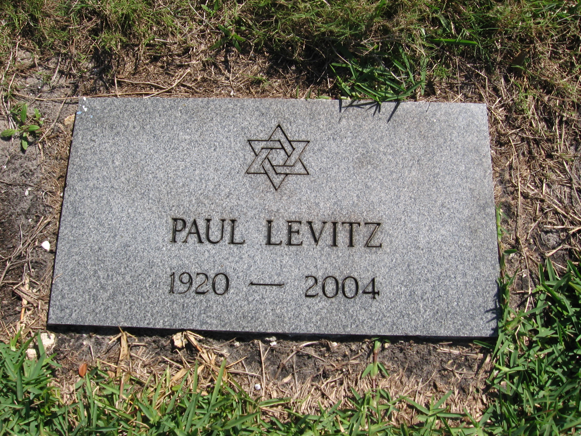 Paul Levitz