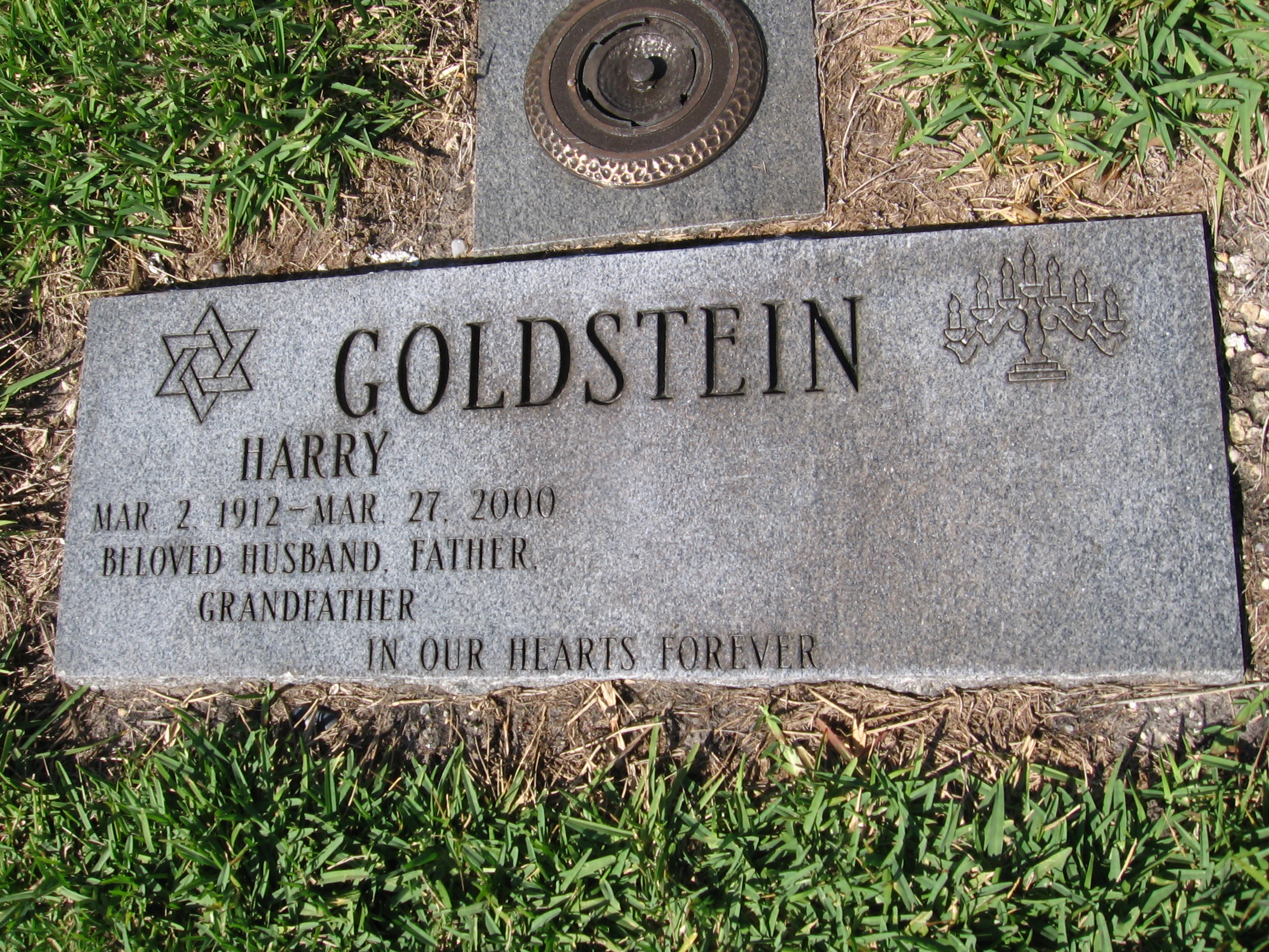 Harry Goldstein