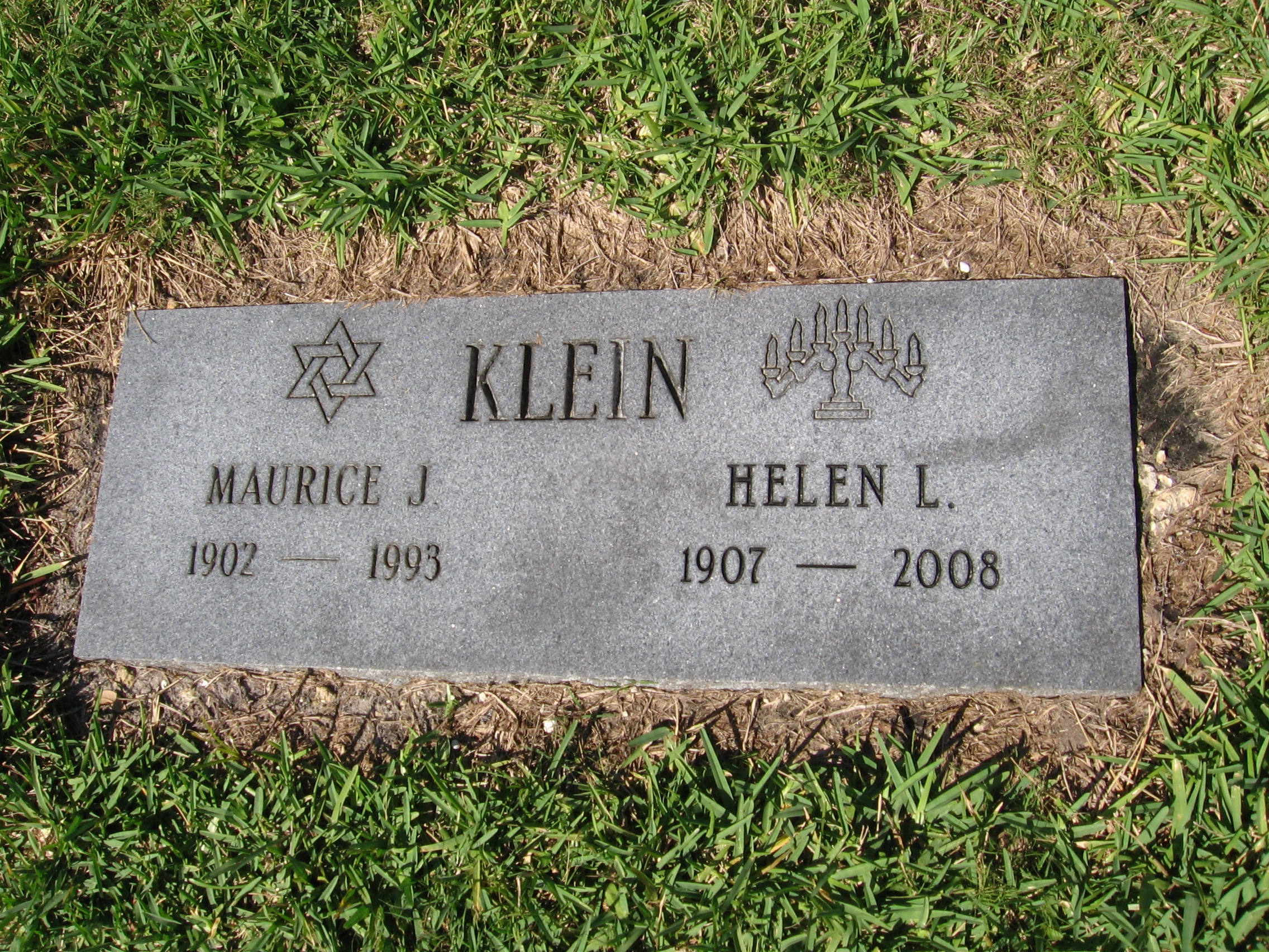 Helen L Klein
