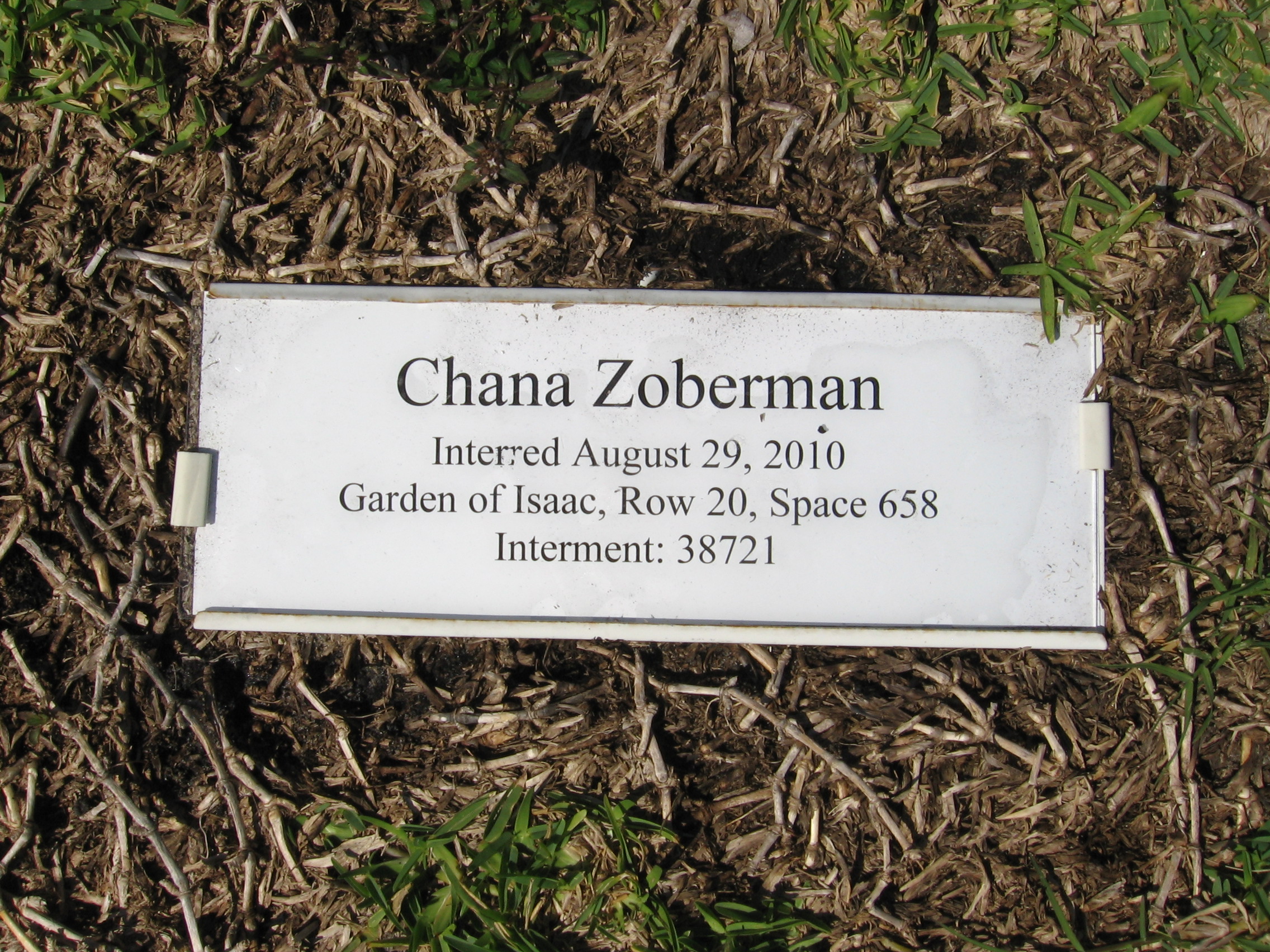 Chana Zoberman