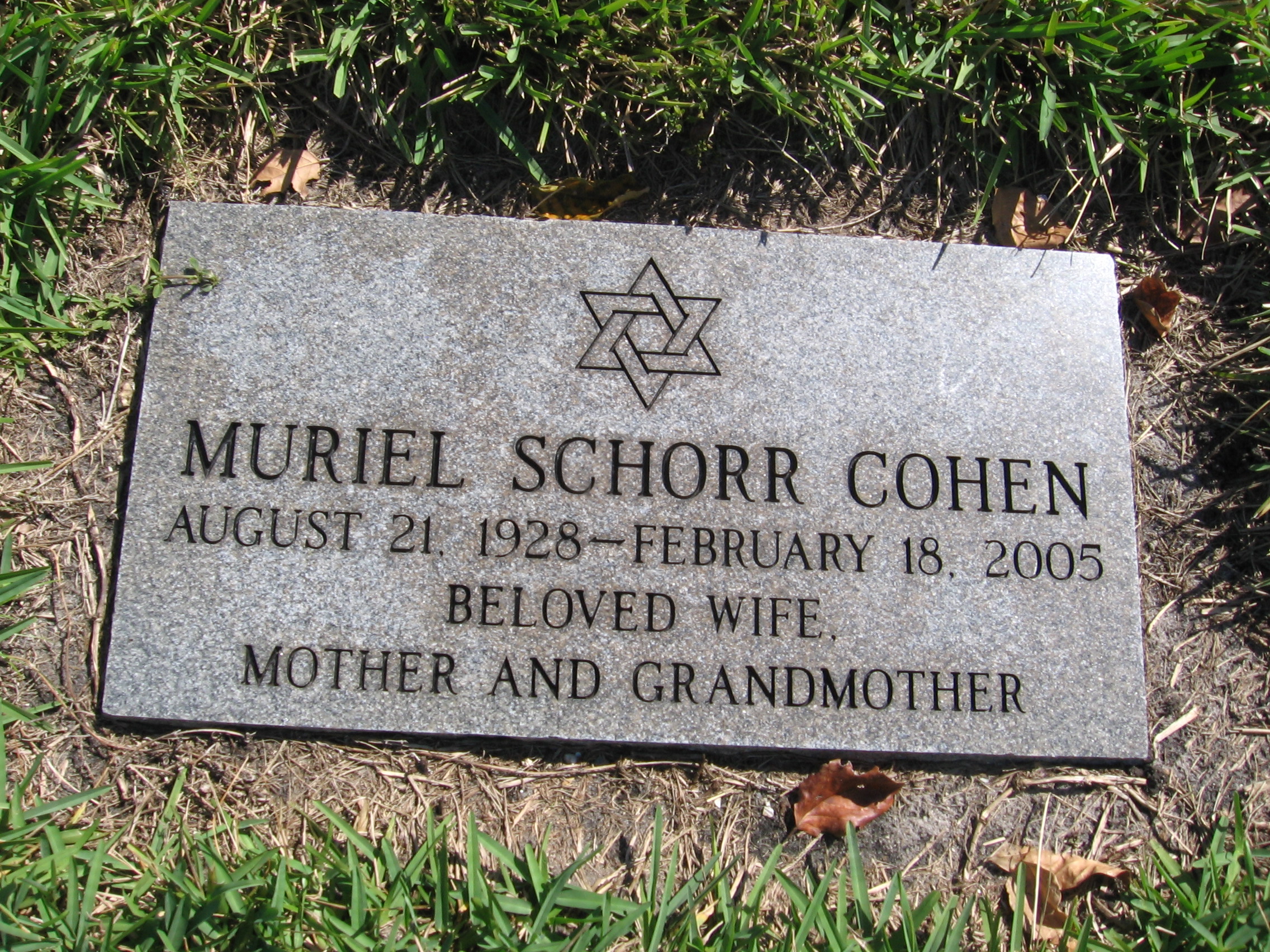 Muriel Schorr Cohen