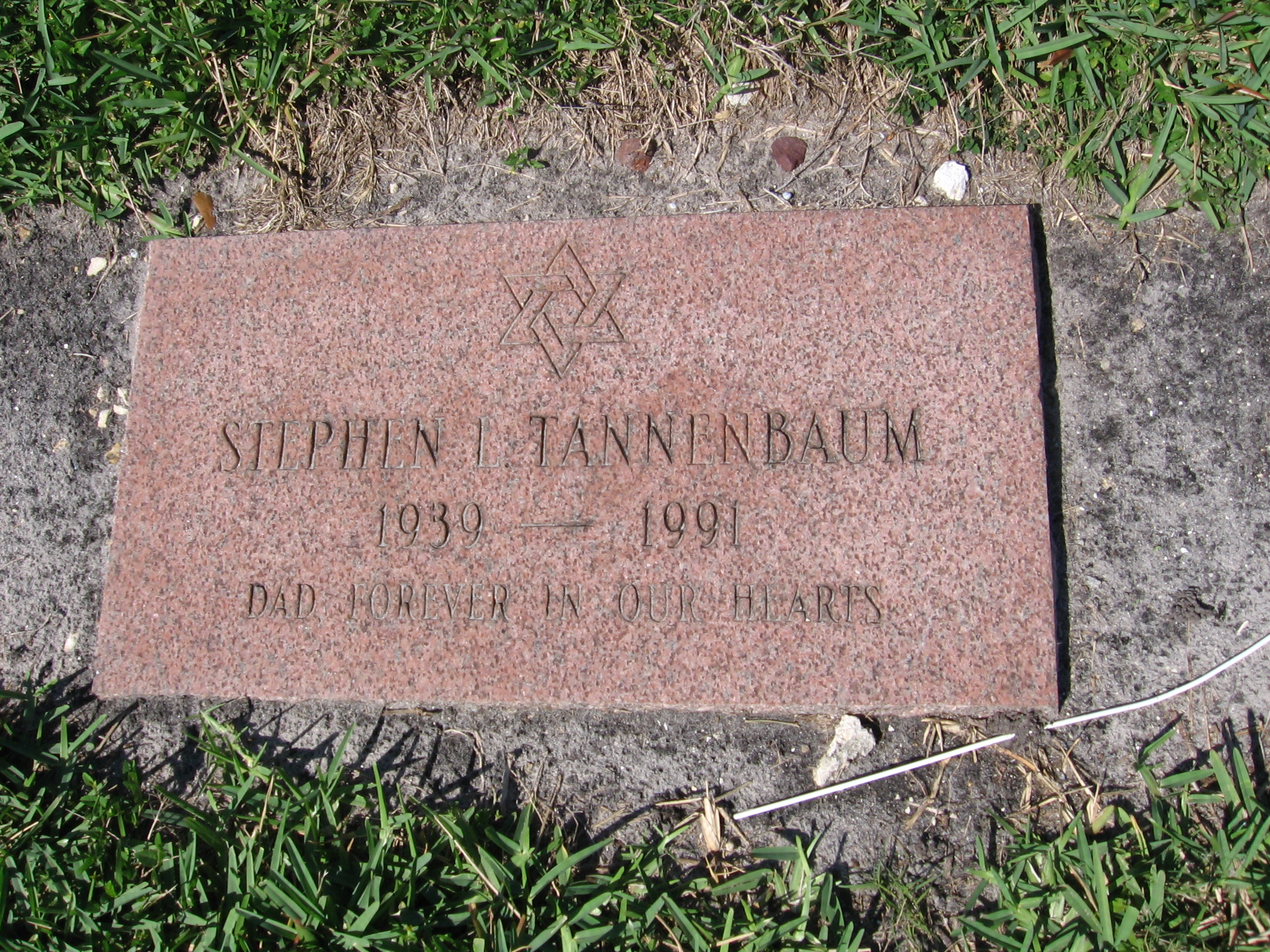 Stephen L Tannenbaum