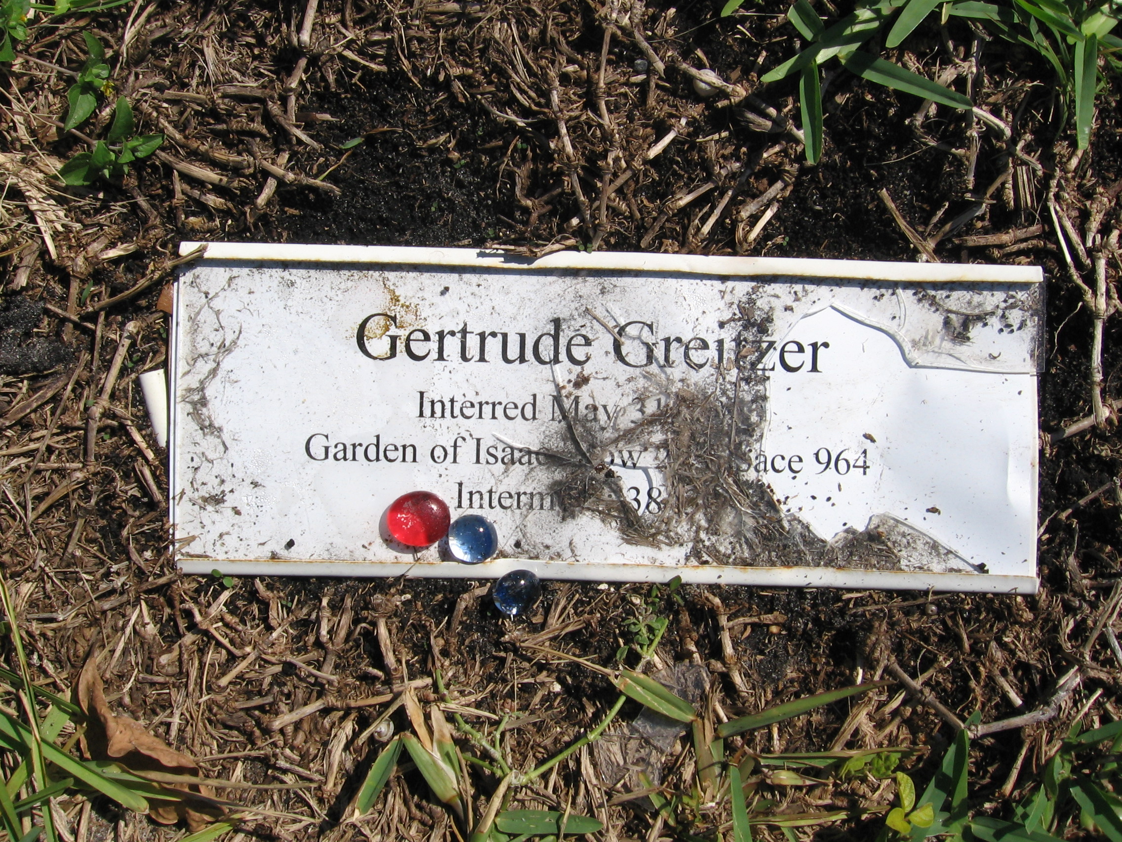 Gertrude Greitzer