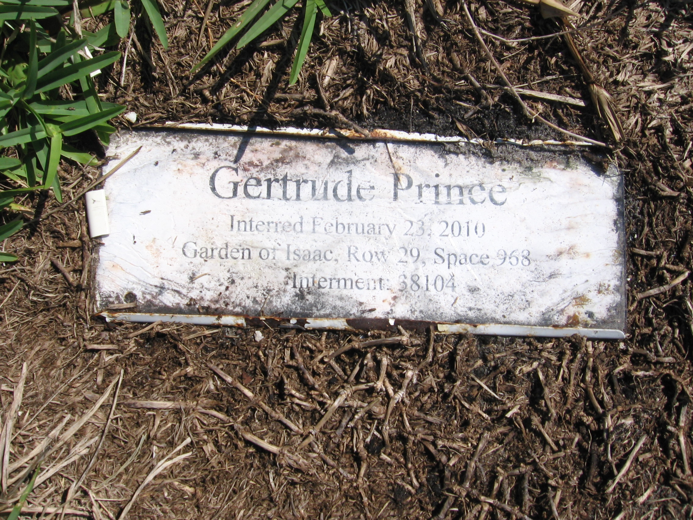 Gertrude Prince
