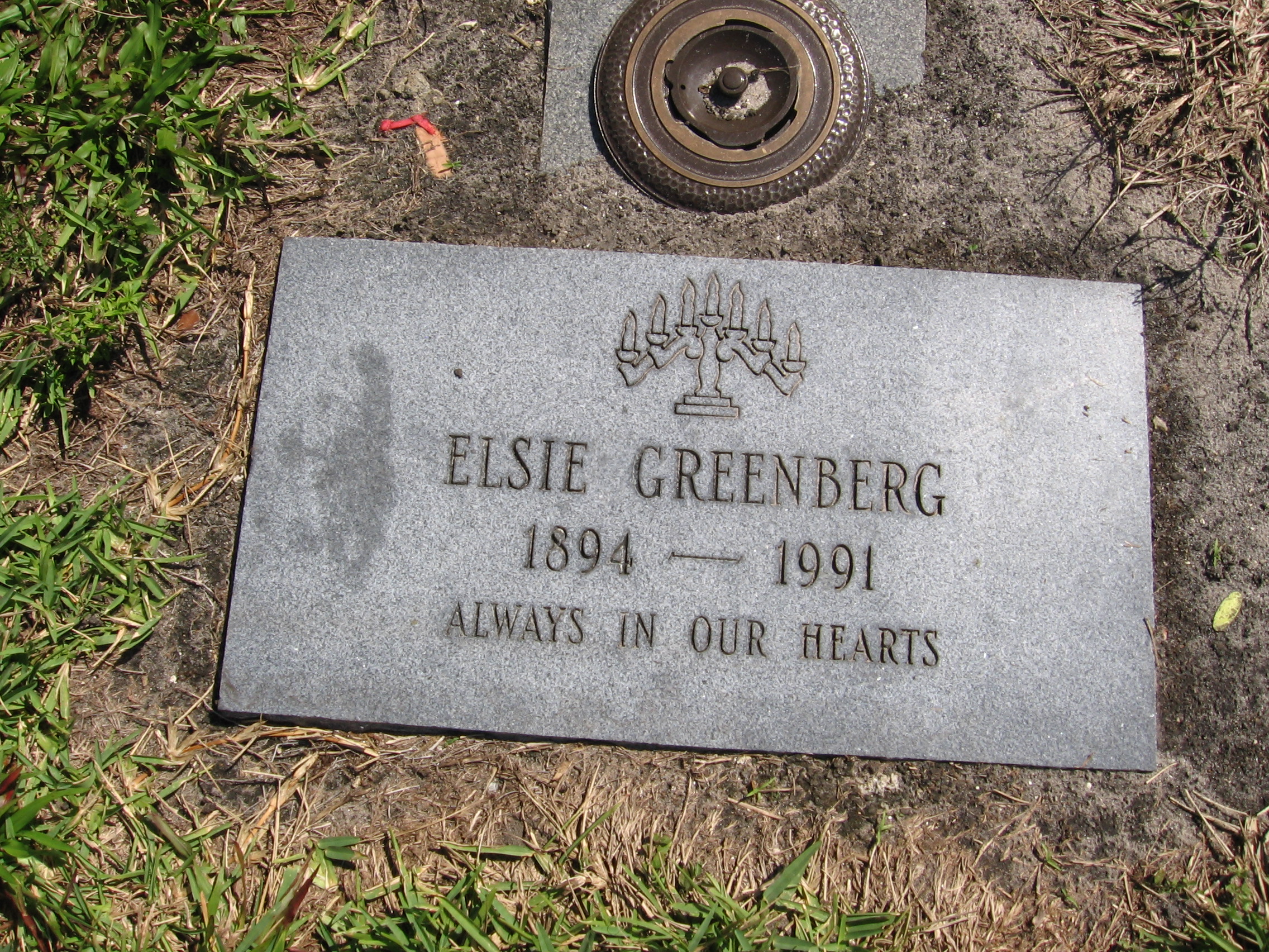 Elsie Greenberg