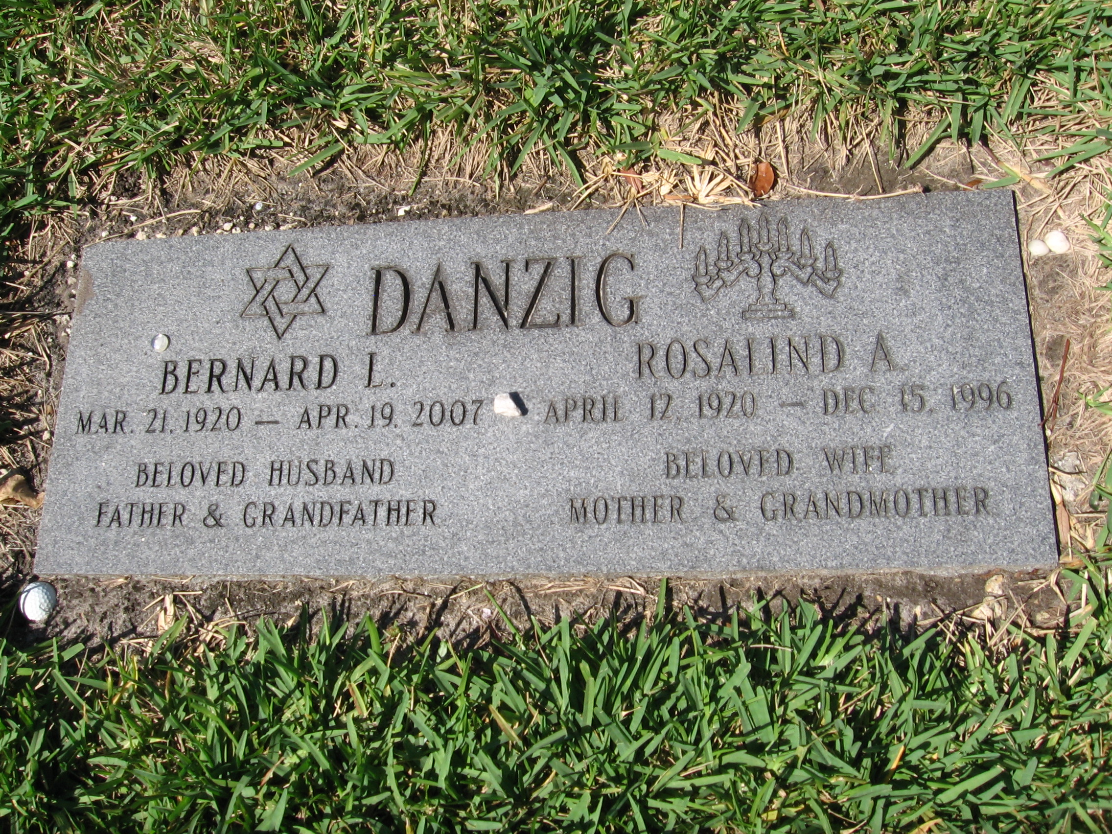 Bernard L Danzig