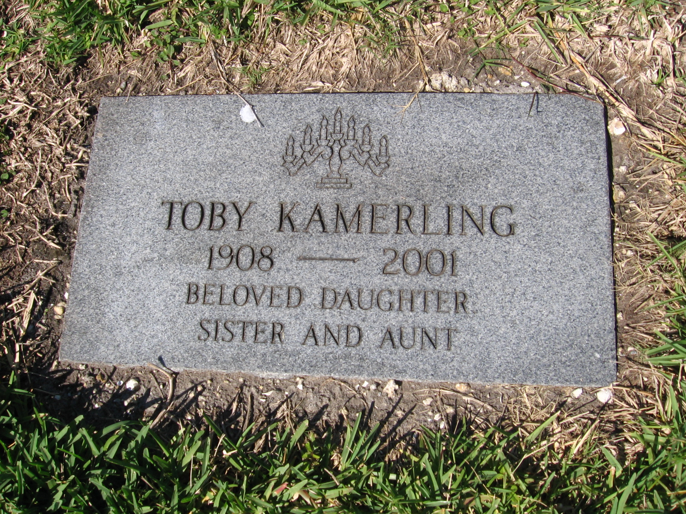 Toby Kamerling