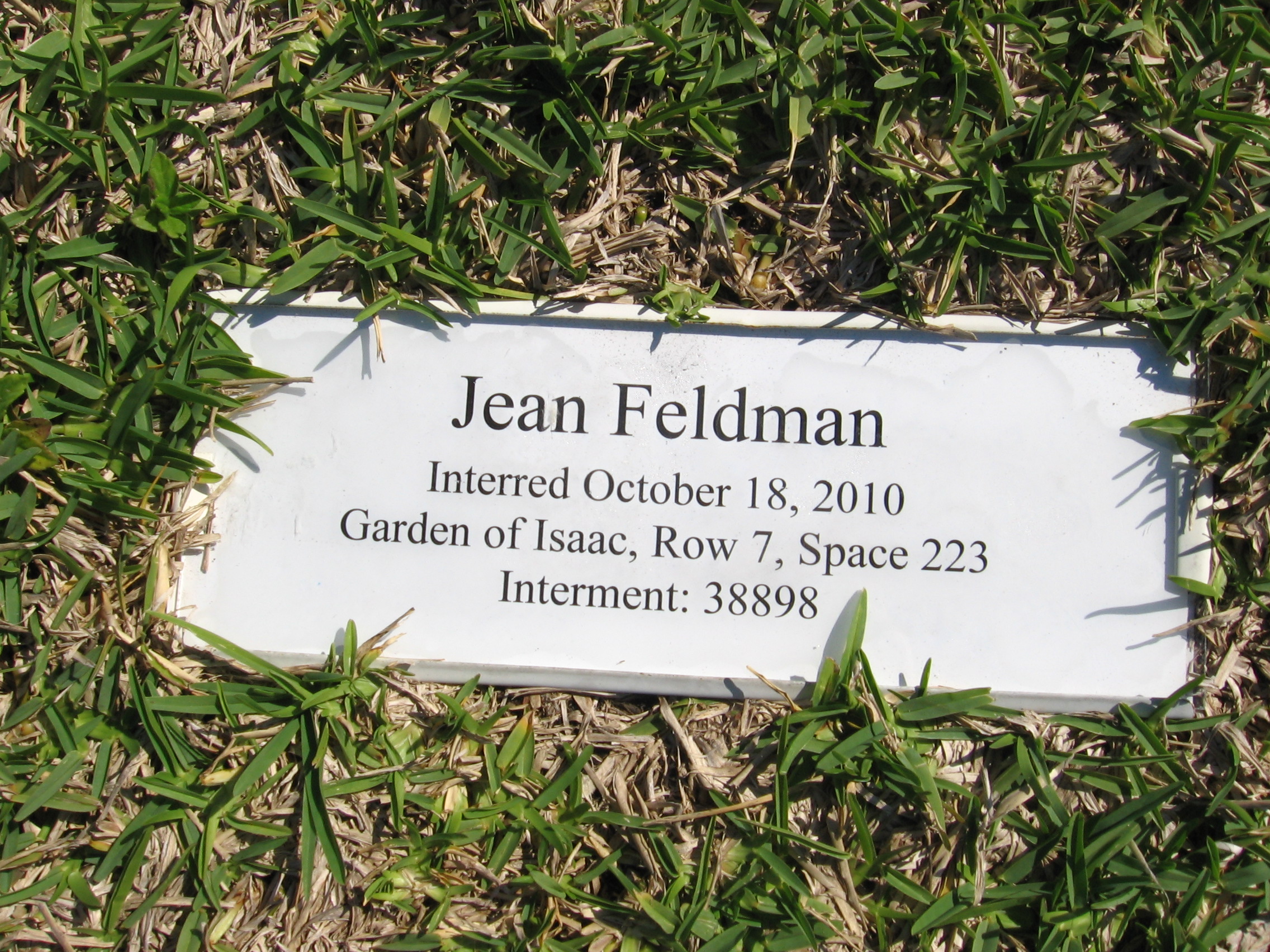 Jean Feldman