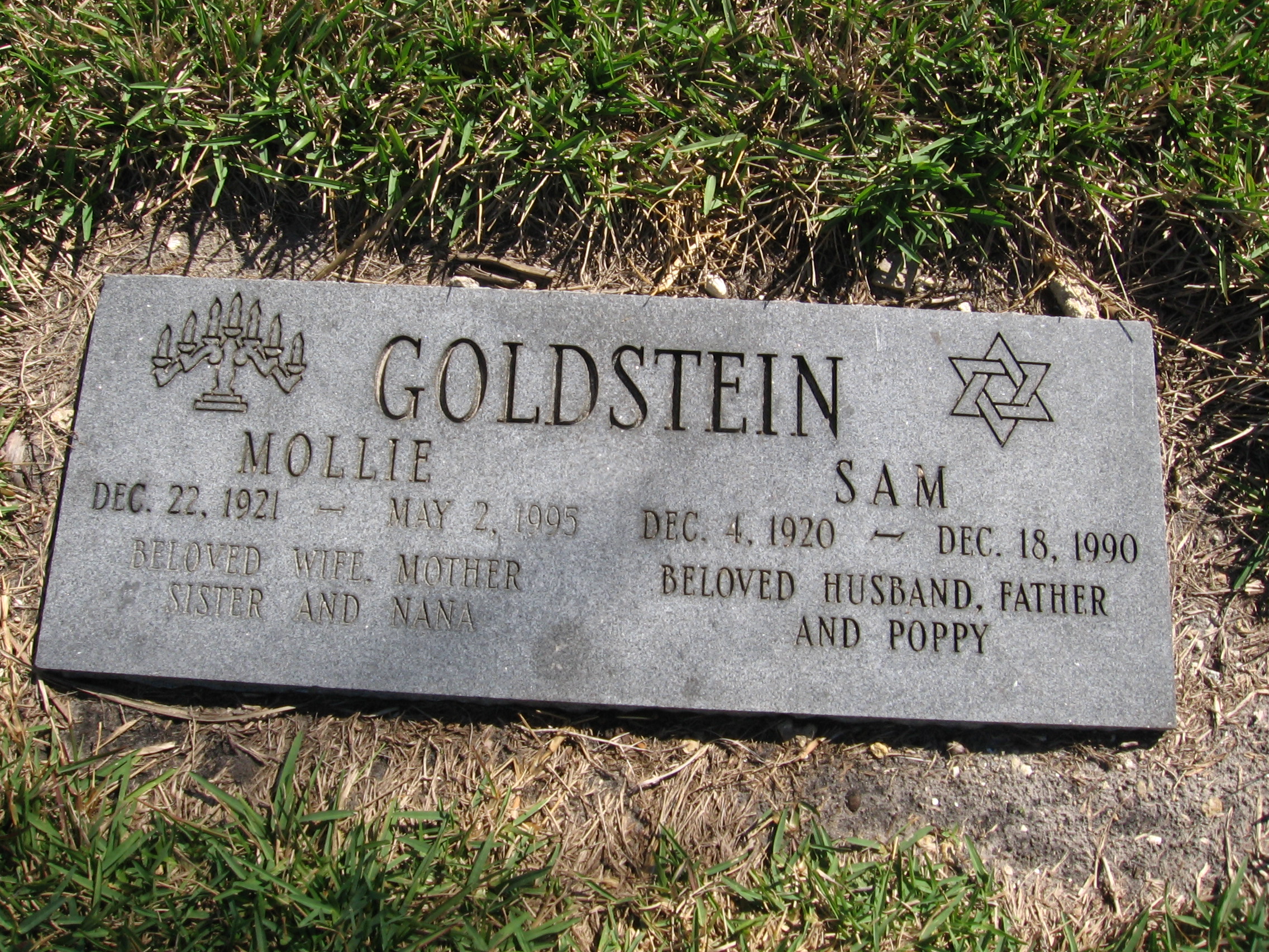 Mollie Goldstein