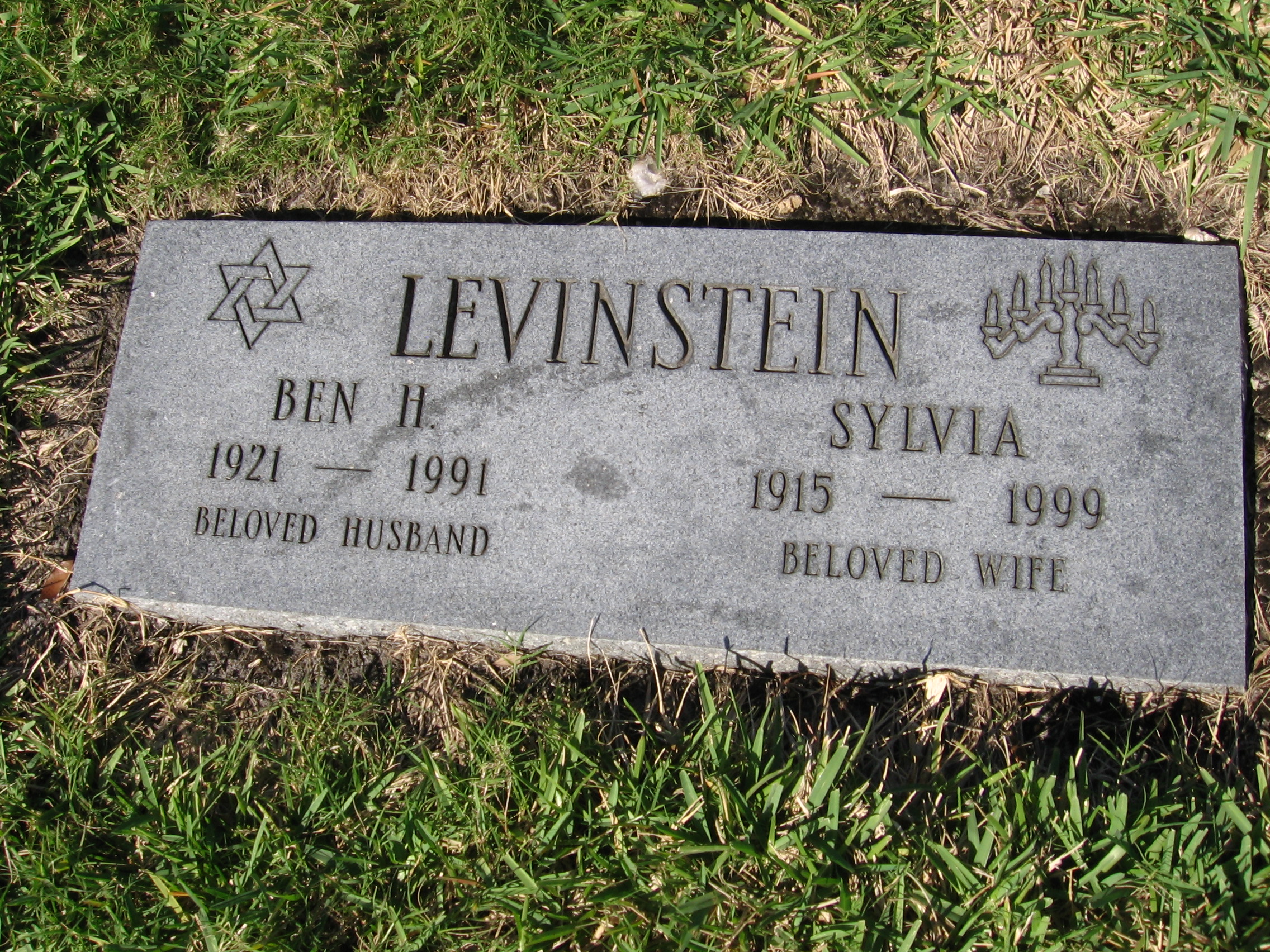 Ben H Levinstein