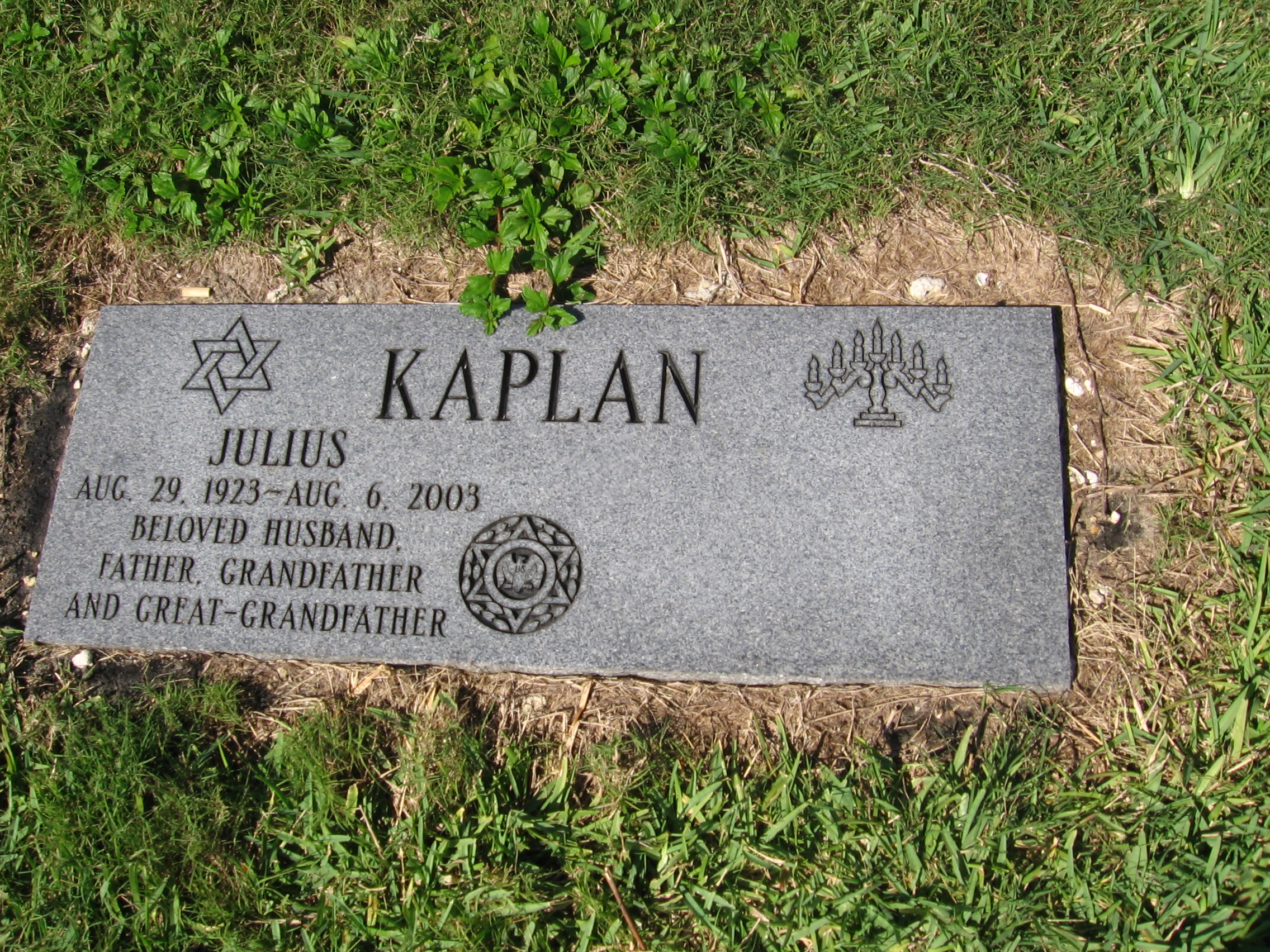 Julius Kaplan