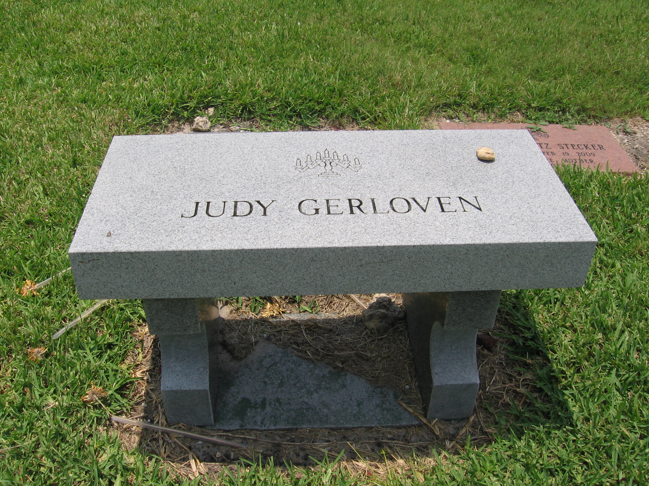 Judy Gerloven