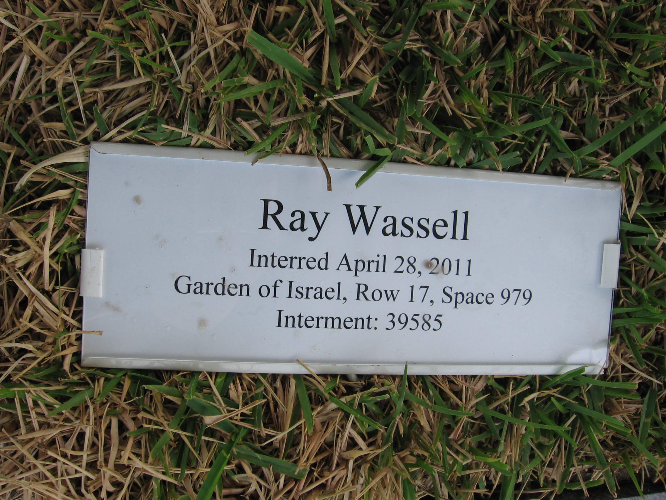 Ray Wassell