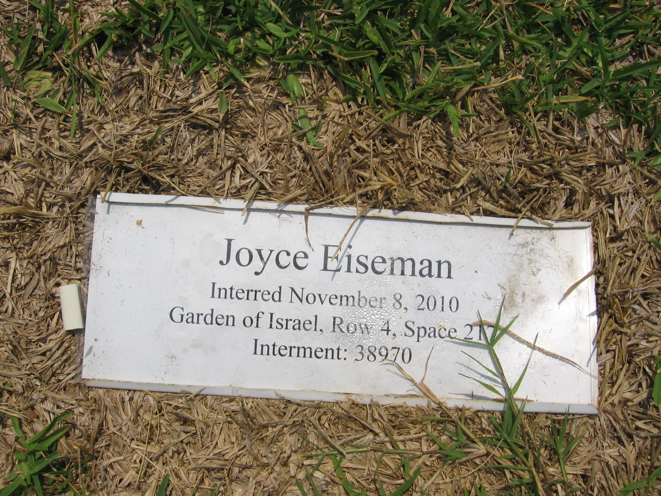 Joyce Eiseman