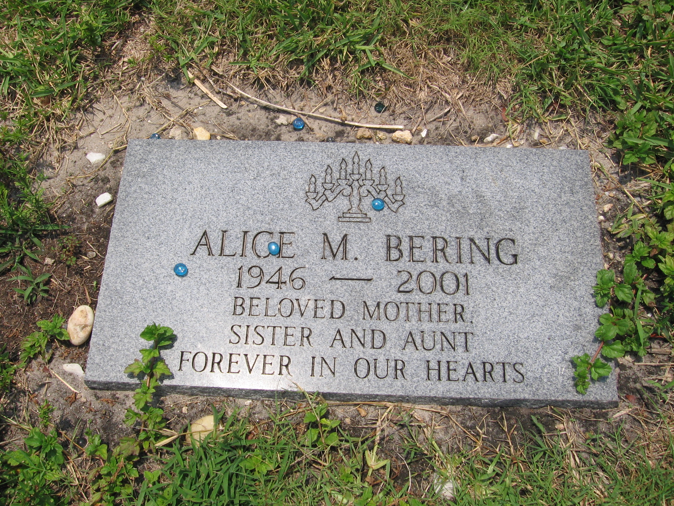Alice M Bering