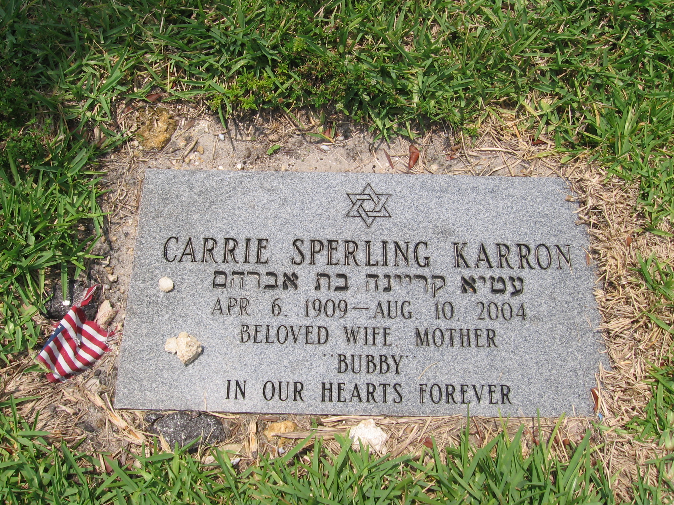 Carrie Sperling Karron