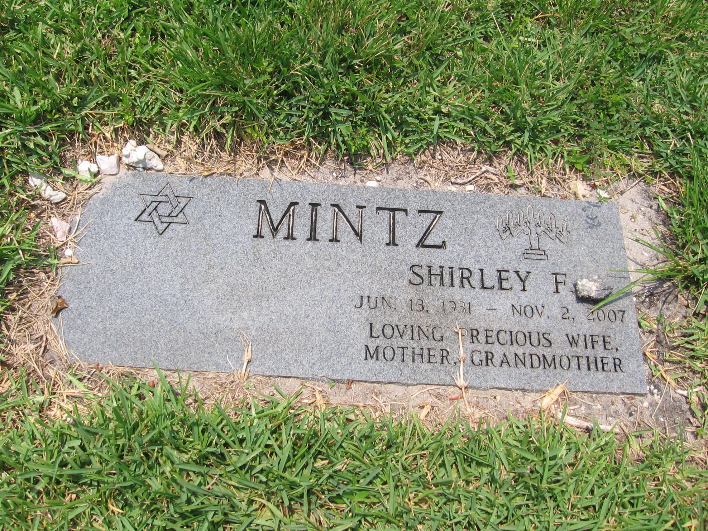 Shirley F Mintz