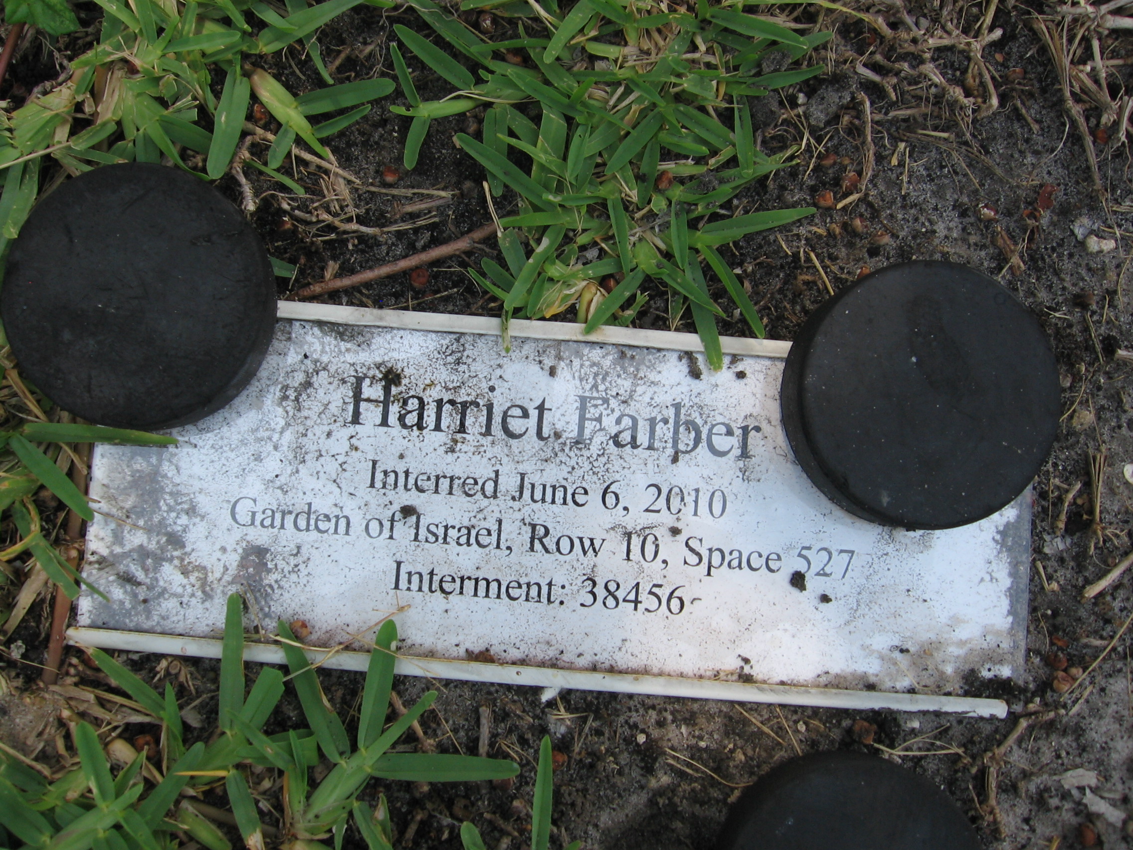 Harriet Farber