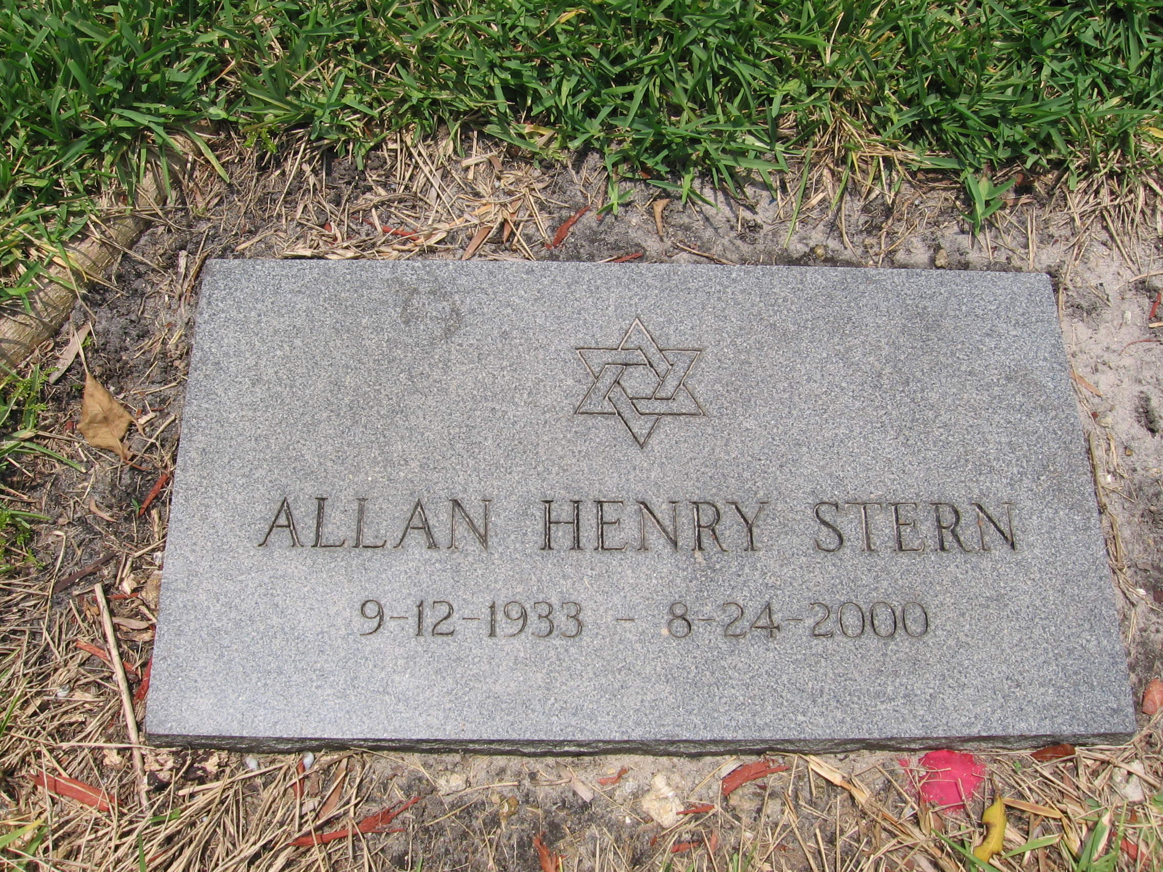 Allan Henry Stern