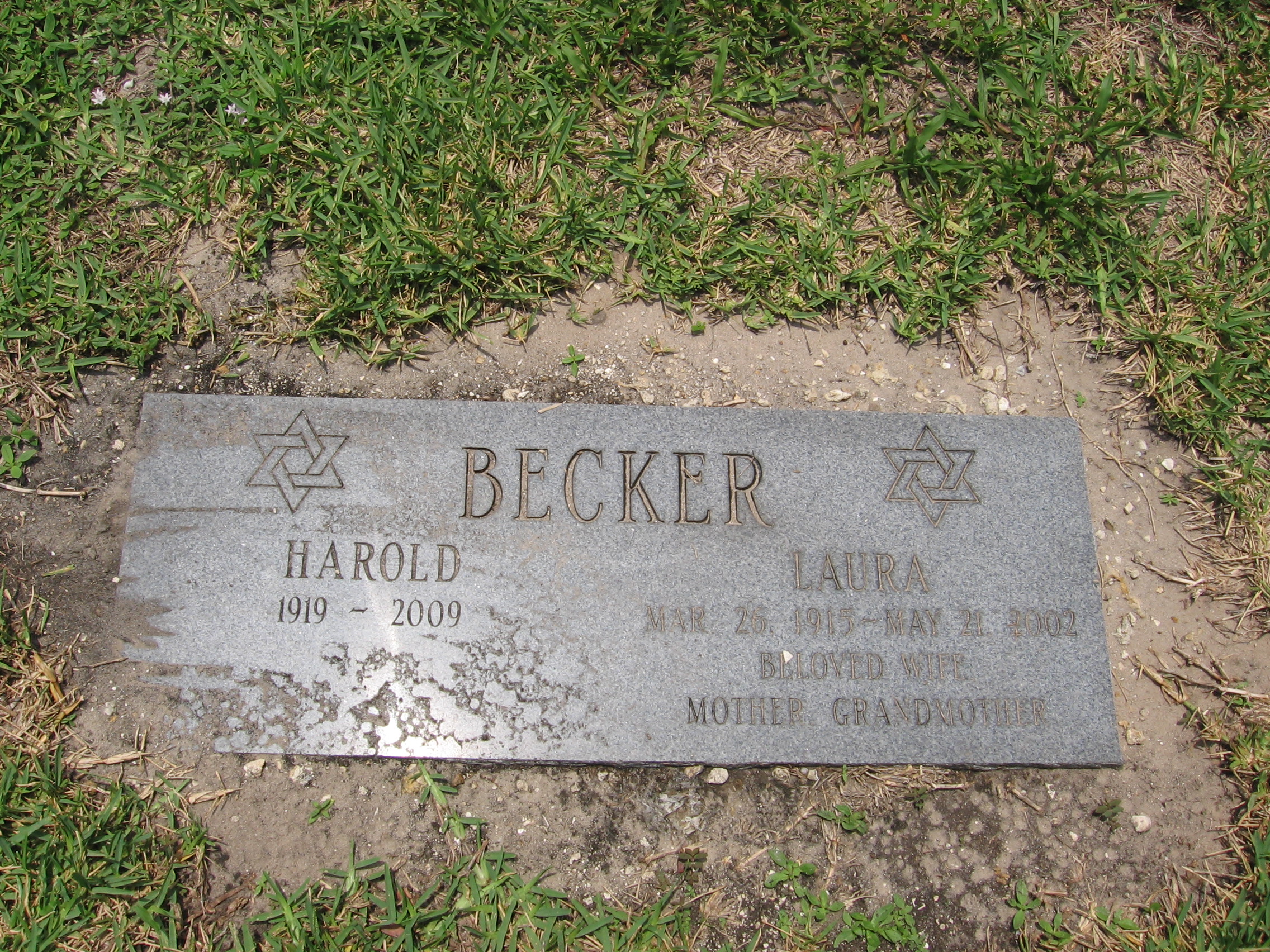Harold Becker