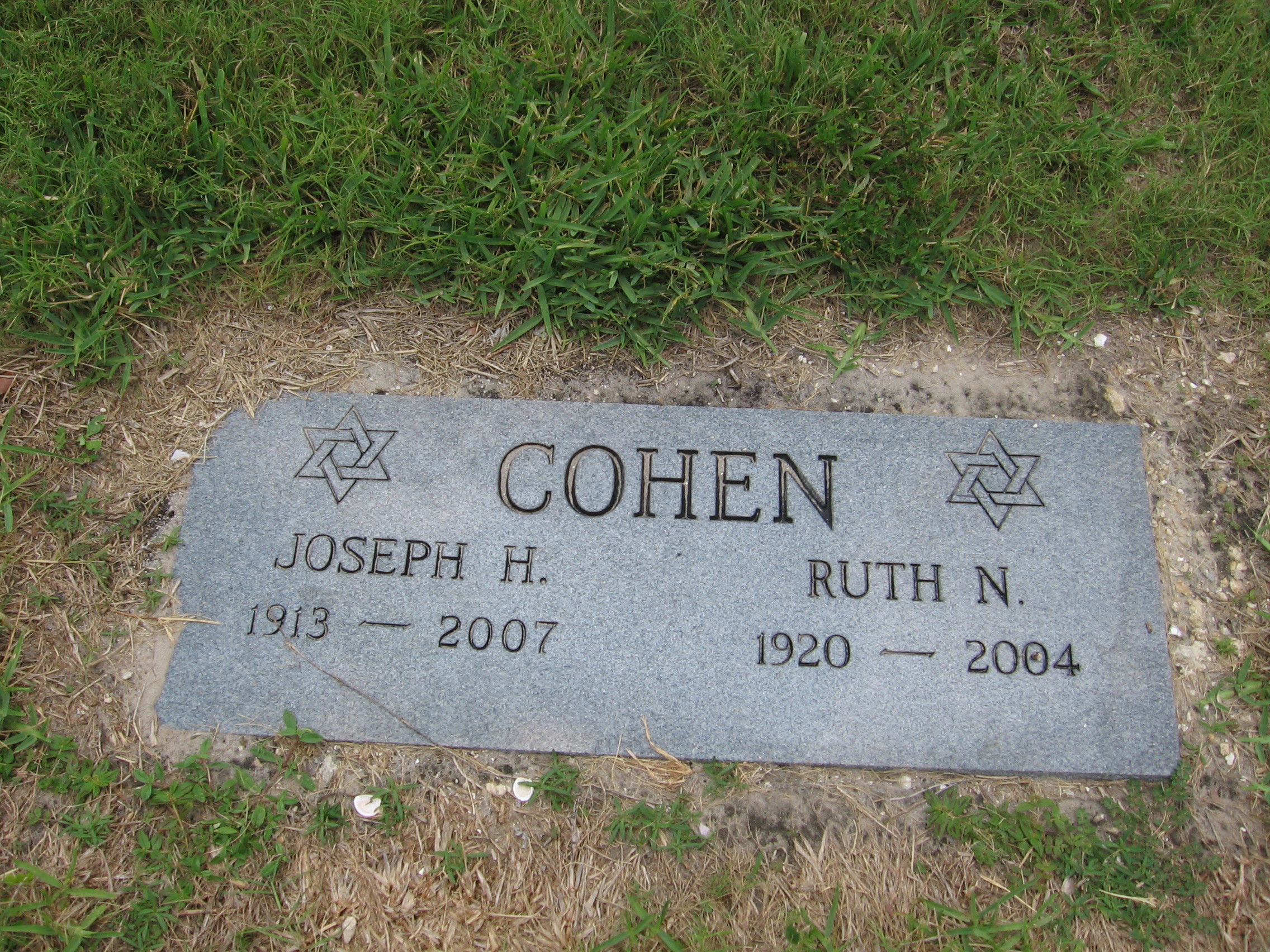 Ruth N Cohen